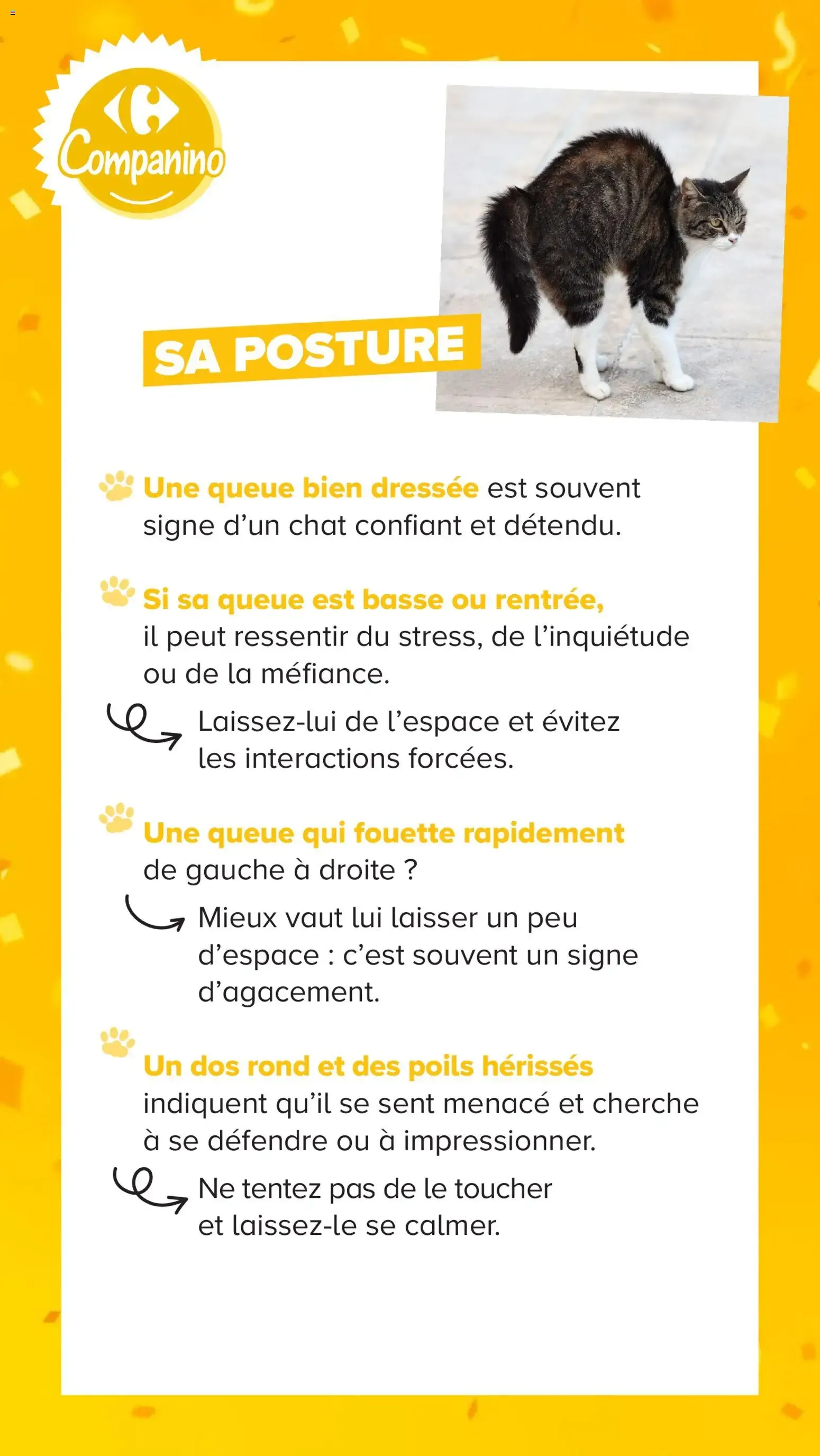 Carrefour Market Découvrez la marque carrefour companino à partir du 04/08/2026 - promo en ligne du 4 août au 7 septembre 2026 - Catalogue page 14