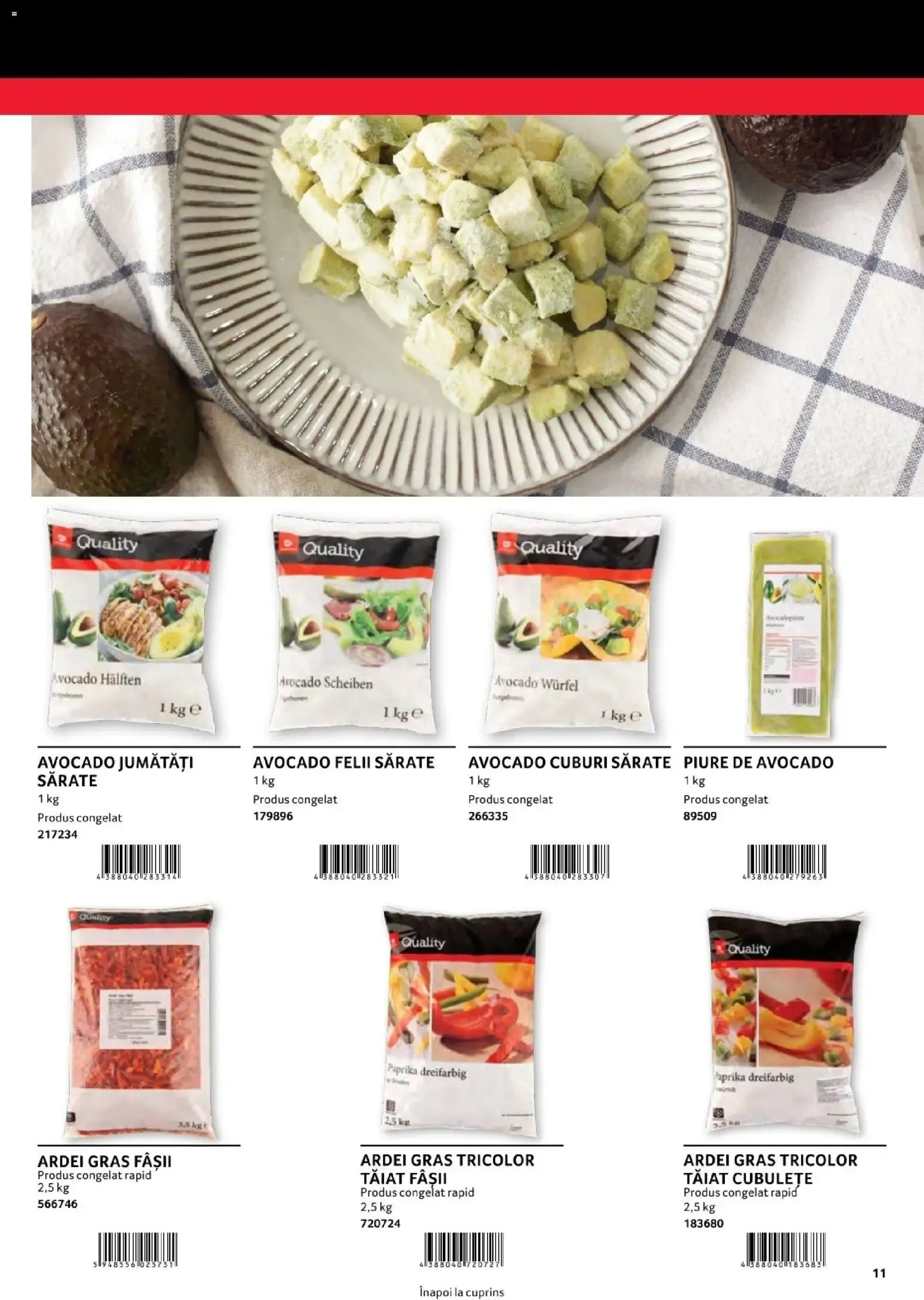 Catalog Selgros Marcas Propias para Gastronomía Profesional de la 1 august până la 31 decembrie 2026 - Revista Pagina 11