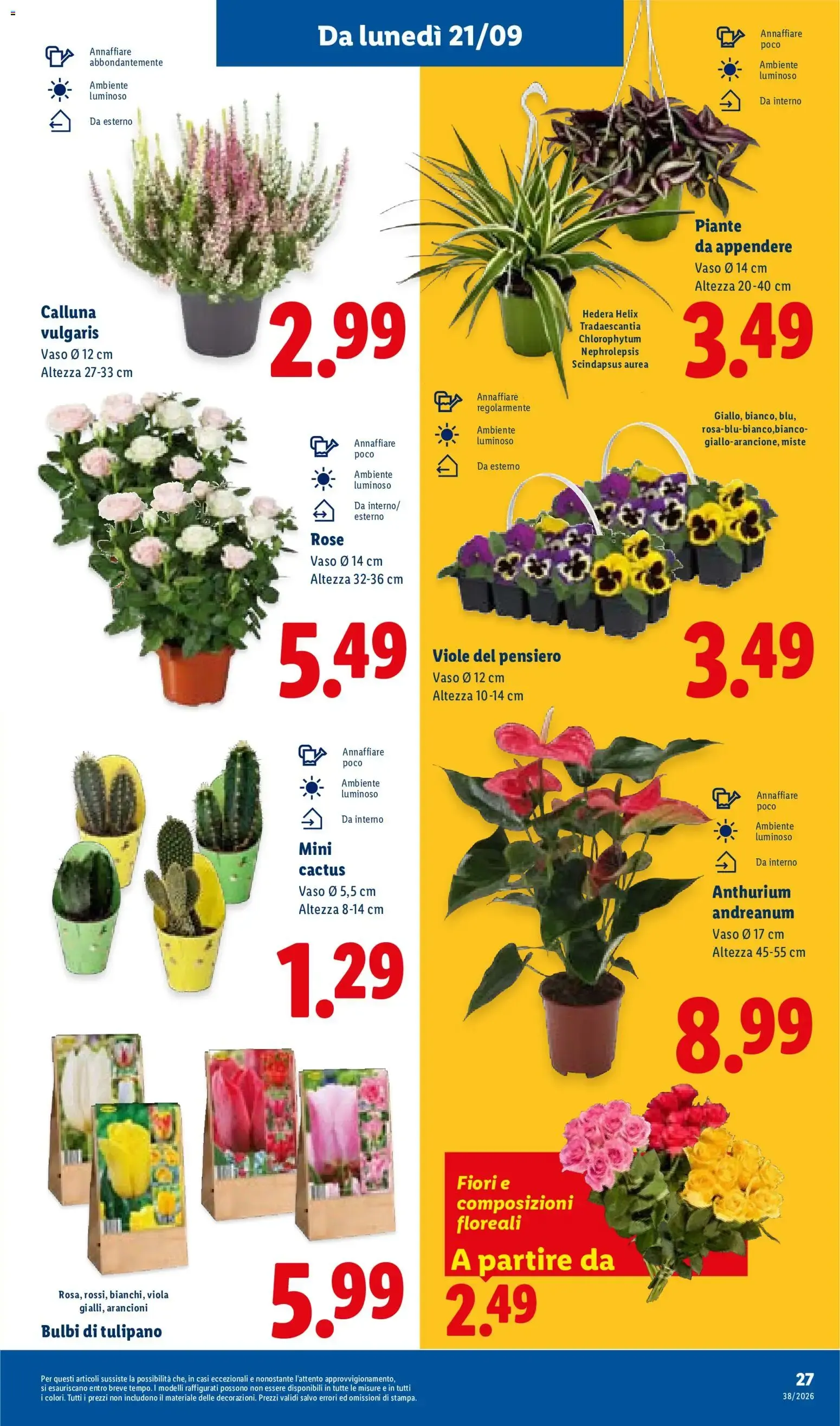 Lidl XXL Grande formato, grande convenienza y Mega Offerte da 17 settembre a 23 settembre di 2026 - Pagina del volantino 33