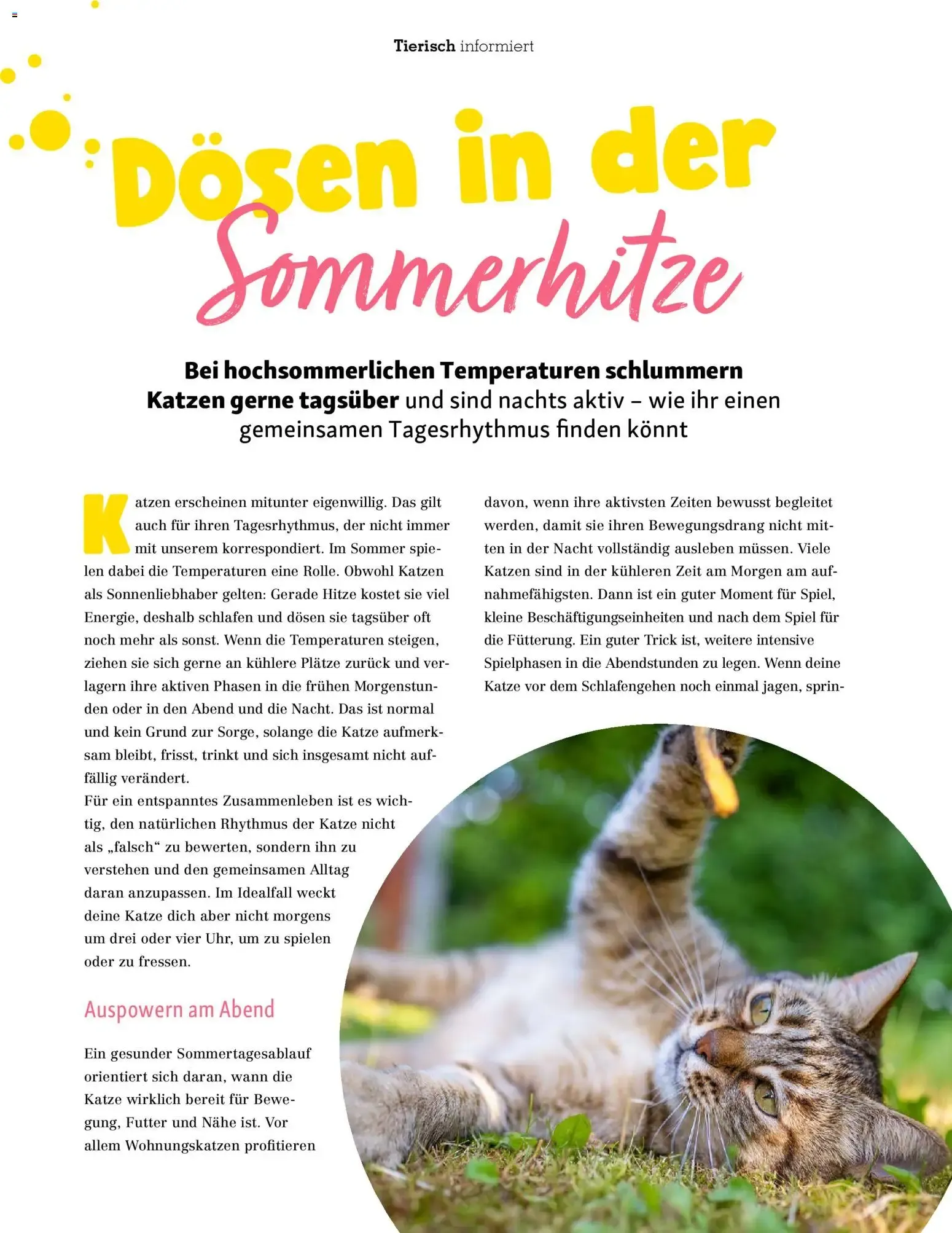 FRESSNAPF Friends - Europas größtes Haustier-Magazin von 1. Juli bis 31. August 2026 - Prospekt seite 28