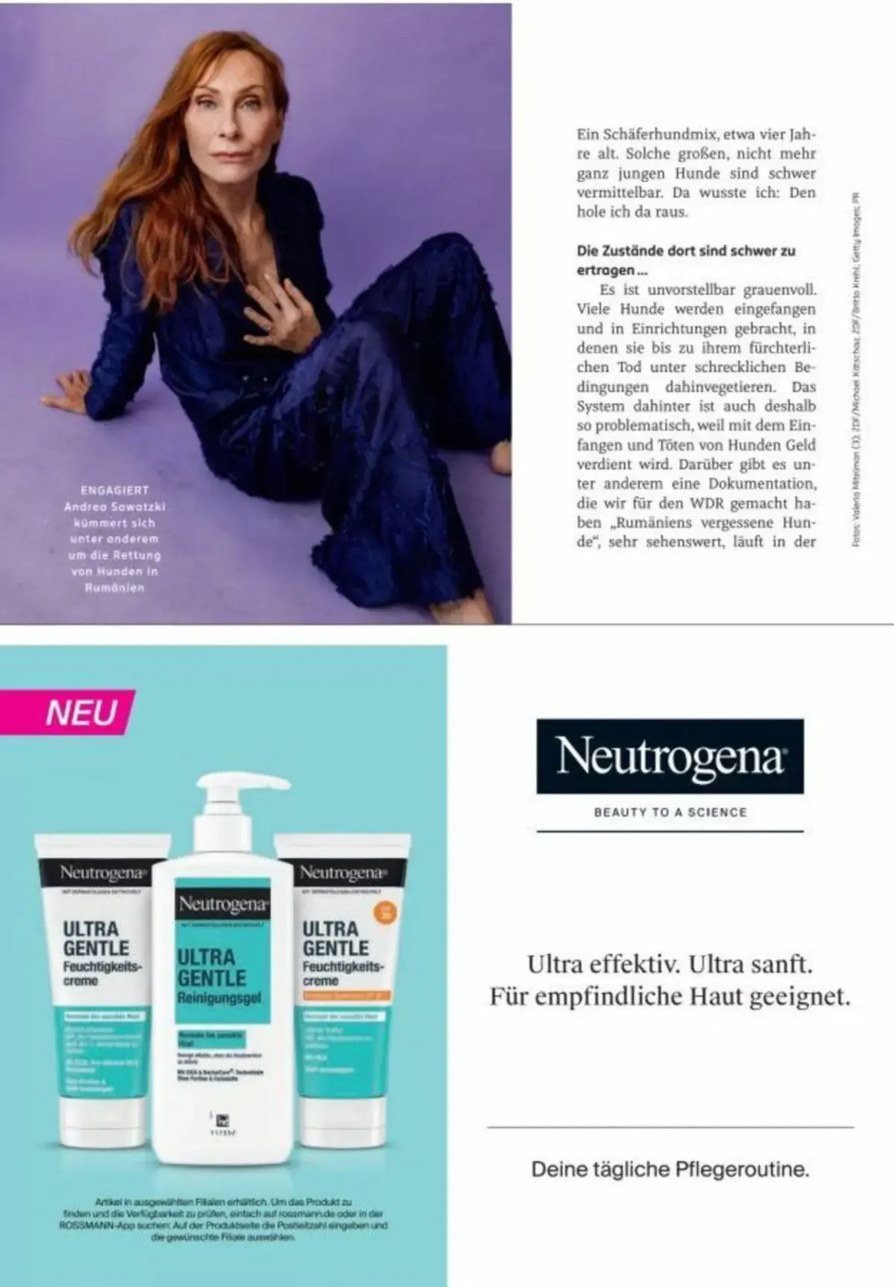 Centaur Magazin (Rossmann) von 1. August bis 31. August 2026 - Prospekt seite 39
