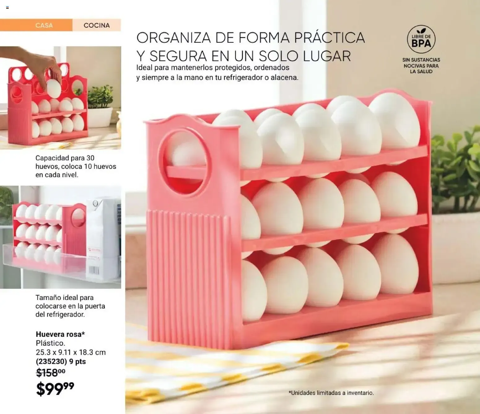 Catálogo de AVON CATÁLOGO PDF - AVON Casa & Estilo 12 2026 31 de julio al 9 de septiembre 2026 - Pagina 42