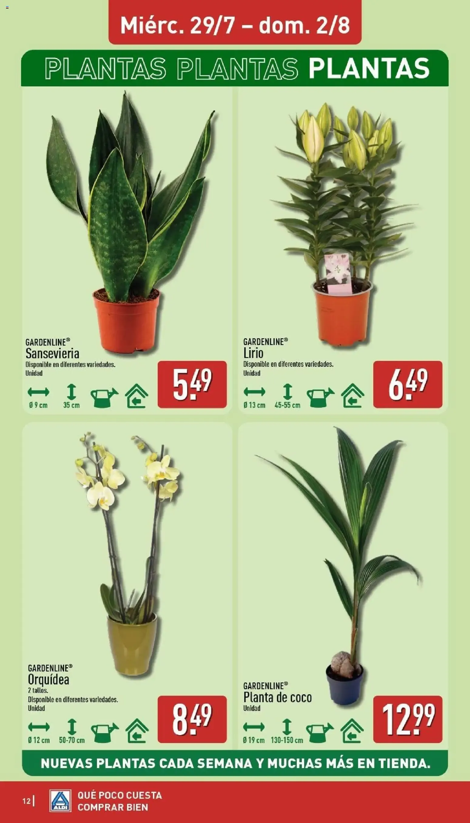 Catálogo de Aldi: Frescura a precios para tirarse a la piscina 27 de julio al 2 de agosto 2026 - Página 12