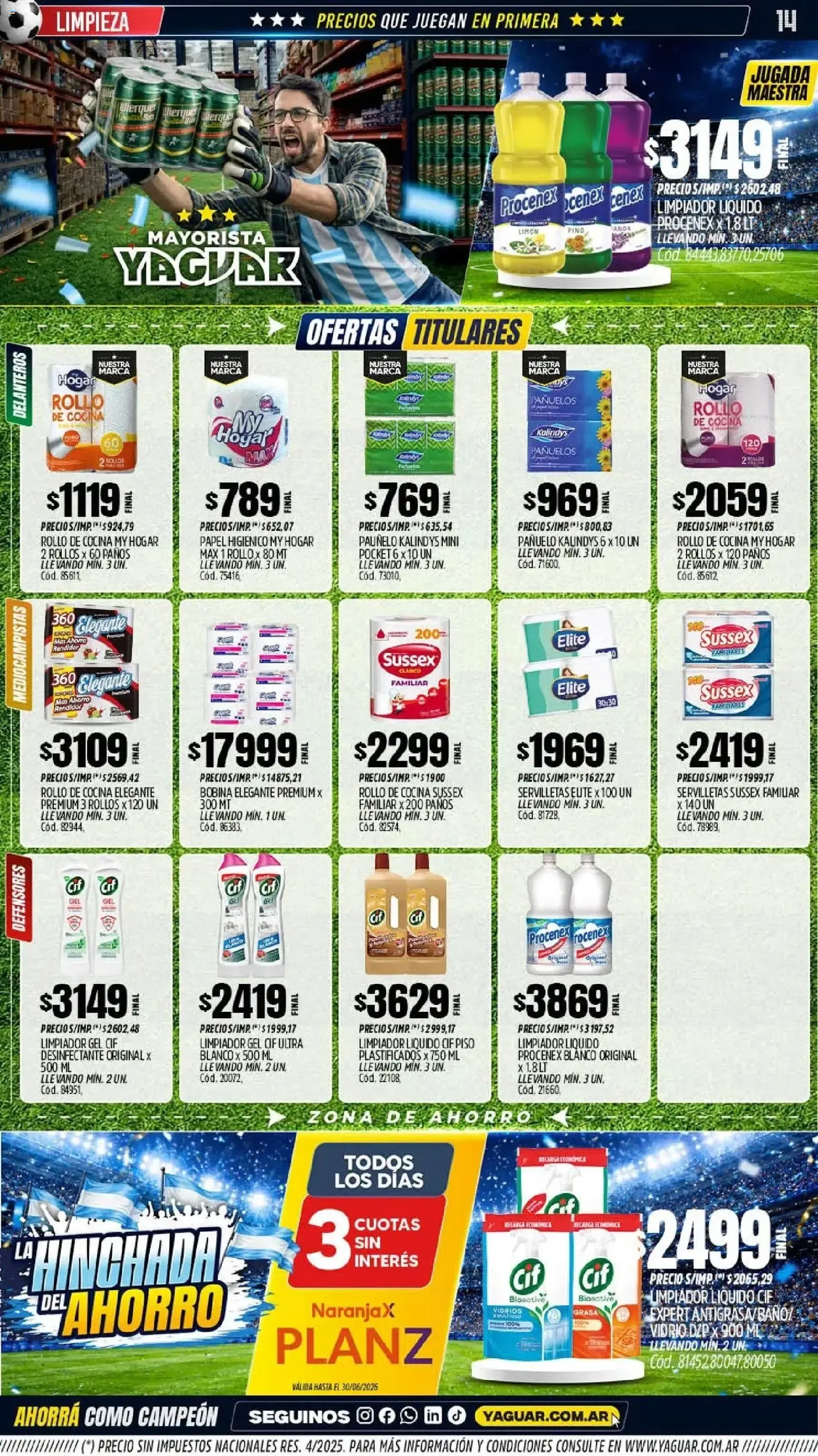 Ofertas de Mayorista Yaguar - La Hinchada del Ahorro 15 de junio al 20 de junio 2026 - Página 13 del catálogo