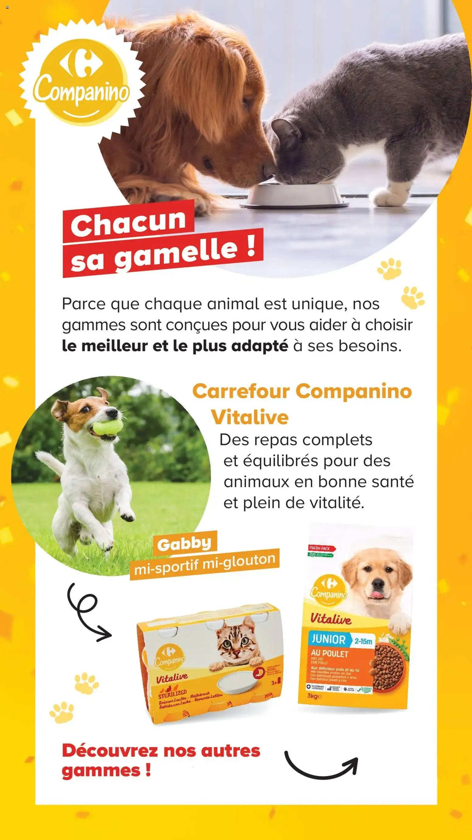 Carrefour Market Découvrez la marque carrefour companino à partir du 04/08/2026 - promo en ligne du 4 août au 7 septembre 2026 - Catalogue page 8