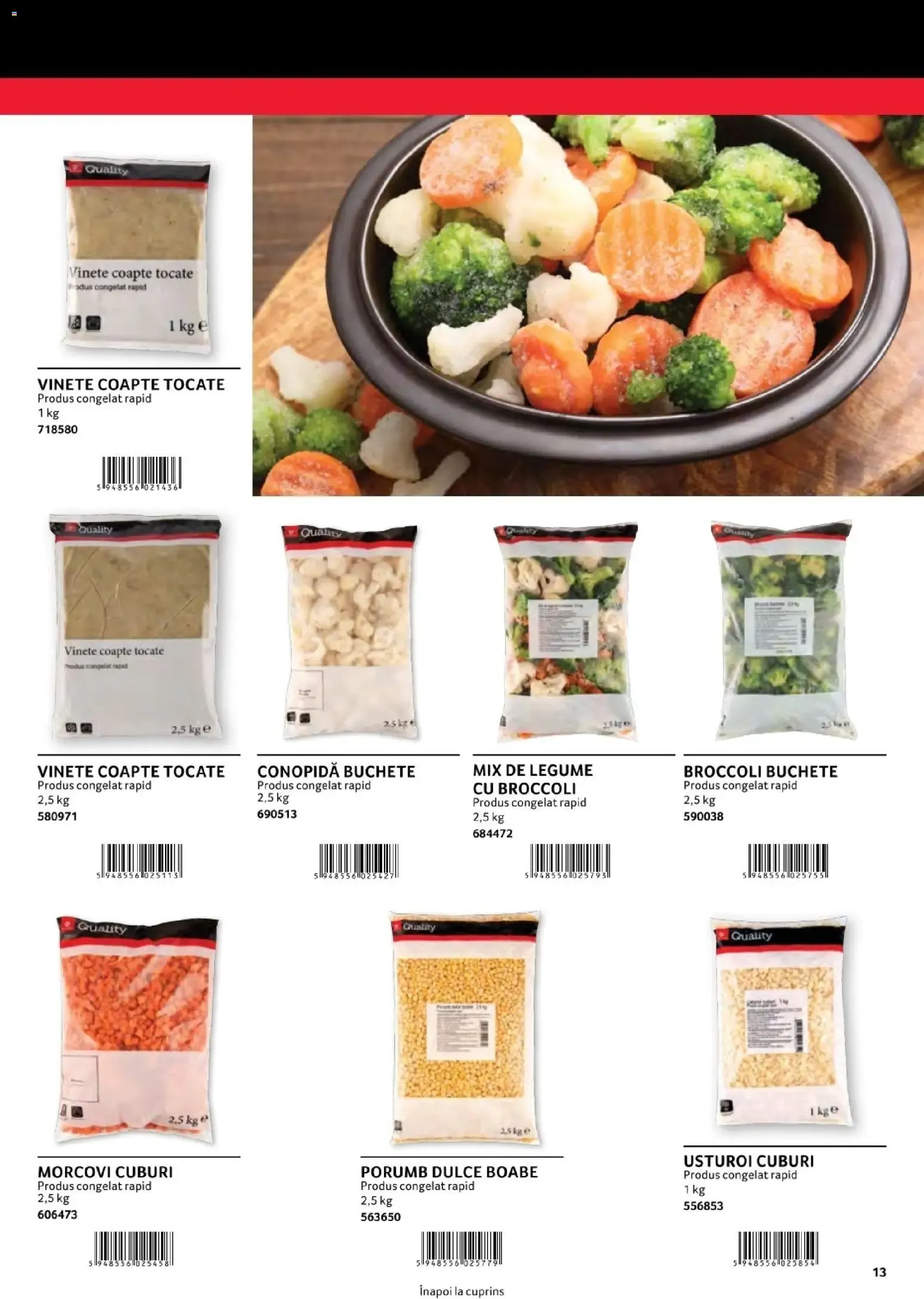 Catalog Selgros Marcas Propias para Gastronomía Profesional de la 1 august până la 31 decembrie 2026 - Revista Pagina 13