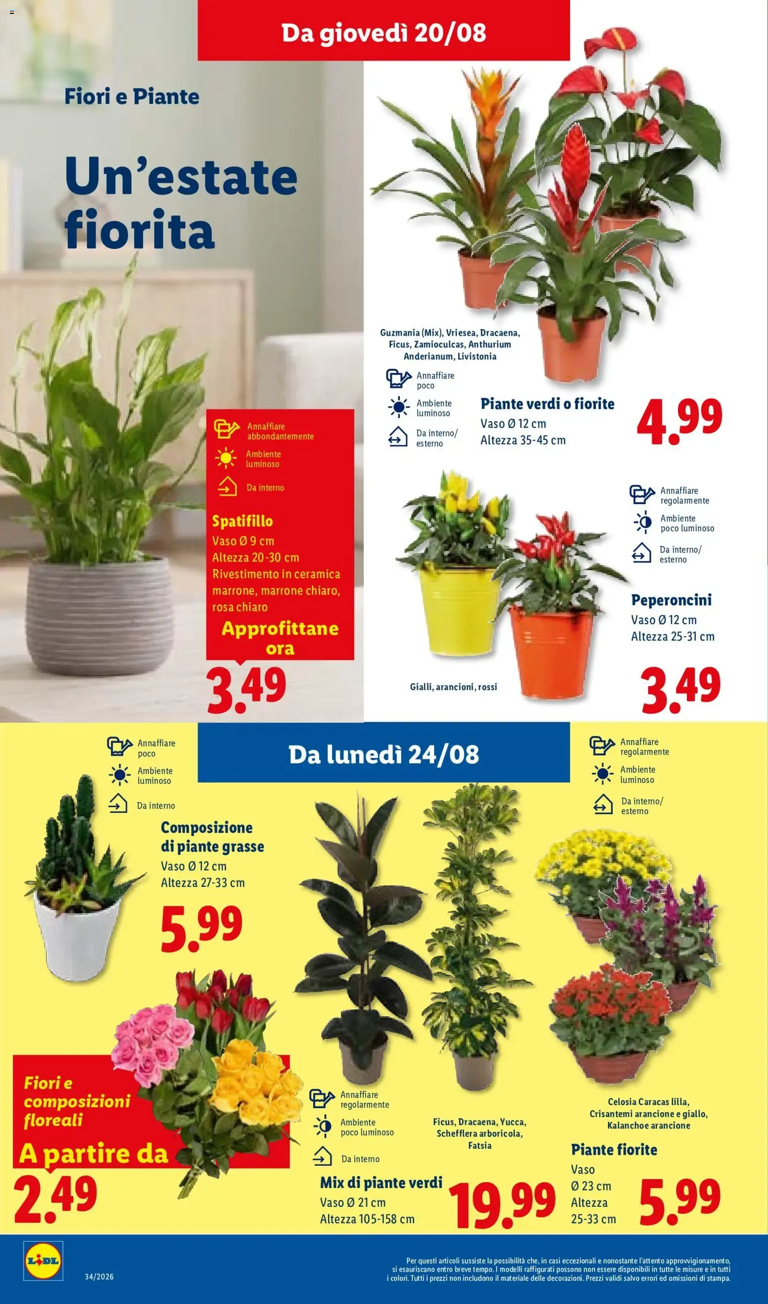 NUOVO LIDL volantino dal 20/08/2026 della prossima settimana da 20 agosto a 26 agosto di 2026 - Pagina del volantino 25