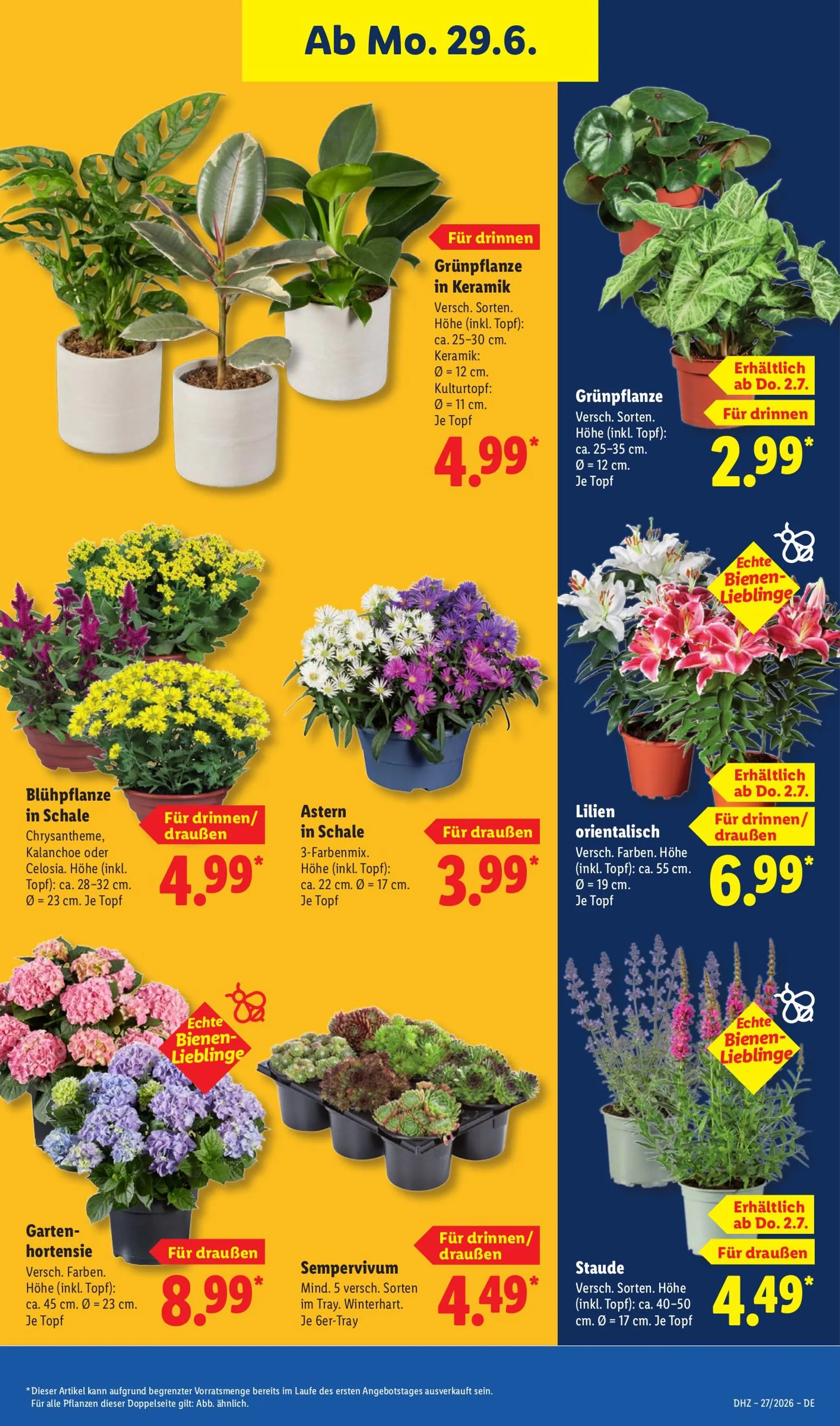 Lidl Prospekt – von Montag 29.06.2026 bis Samstag 04.07.2026 von 29. Juni bis 4. Juli 2026 - Prospekt seite 36