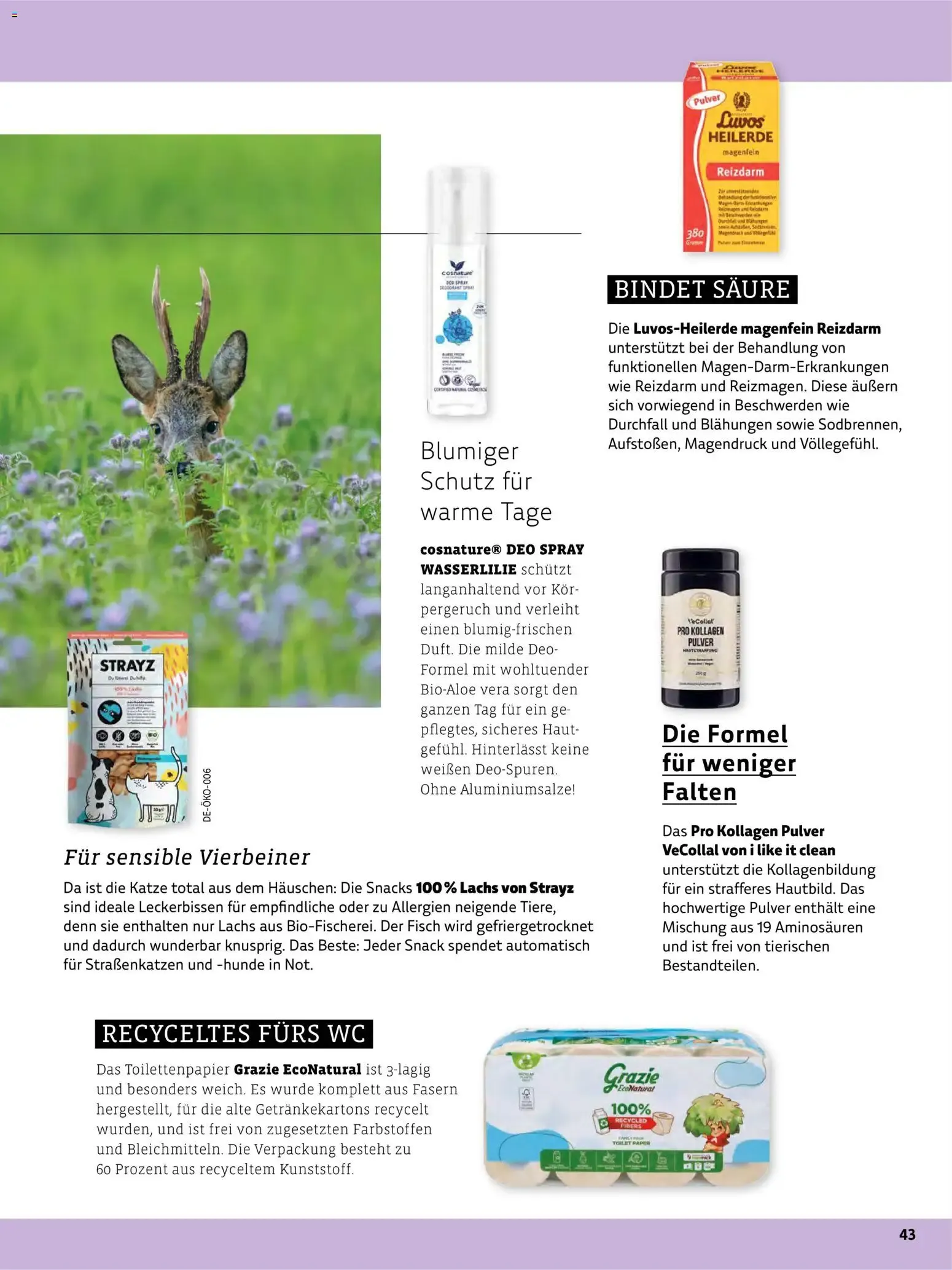 Das BioMarkt Magazin KREO von 17. Juli bis 30. September 2026 - Prospekt seite 42