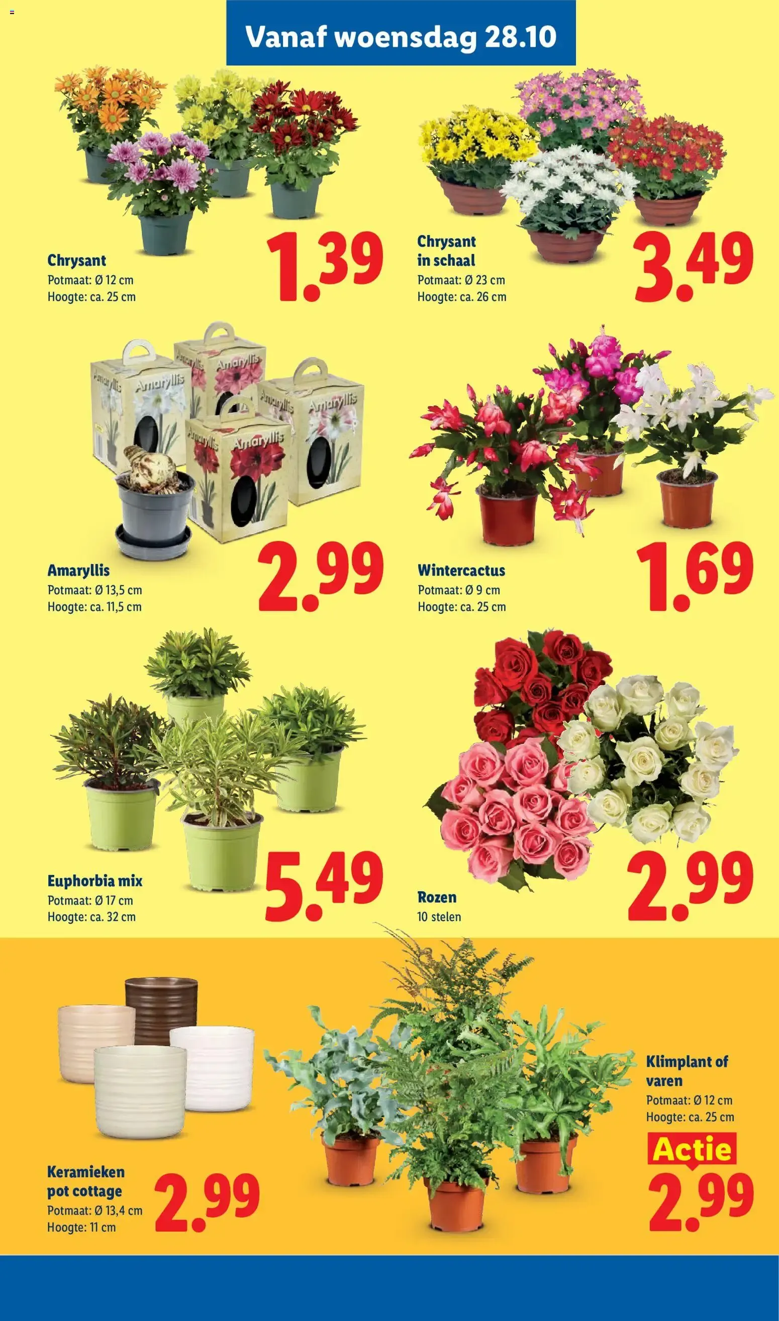 Lidl Deals van 26 oktober tot 1 november 2026 - Folder pagina 15