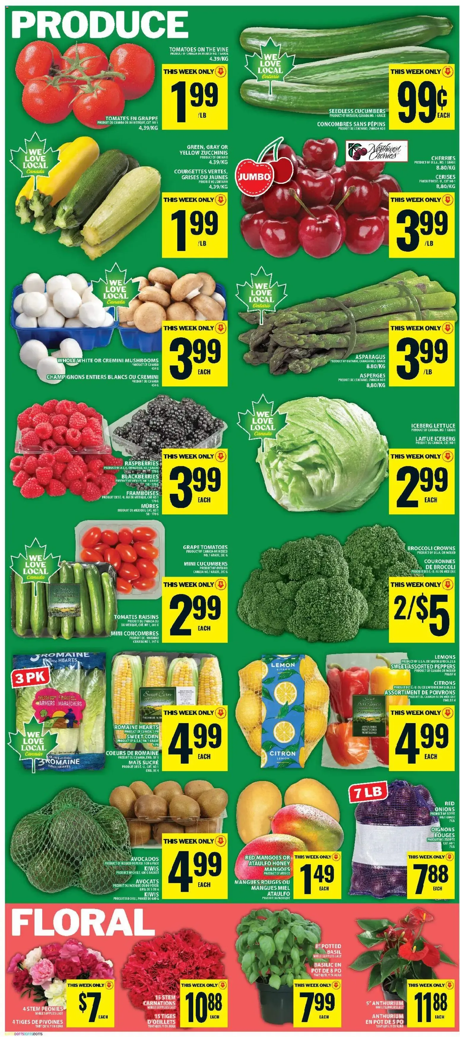 Food Basics weekly flyer - Kanata from Jun 25, 2026 > weekly specials & deals from June 25 to July 1 2026 - flyer page 6