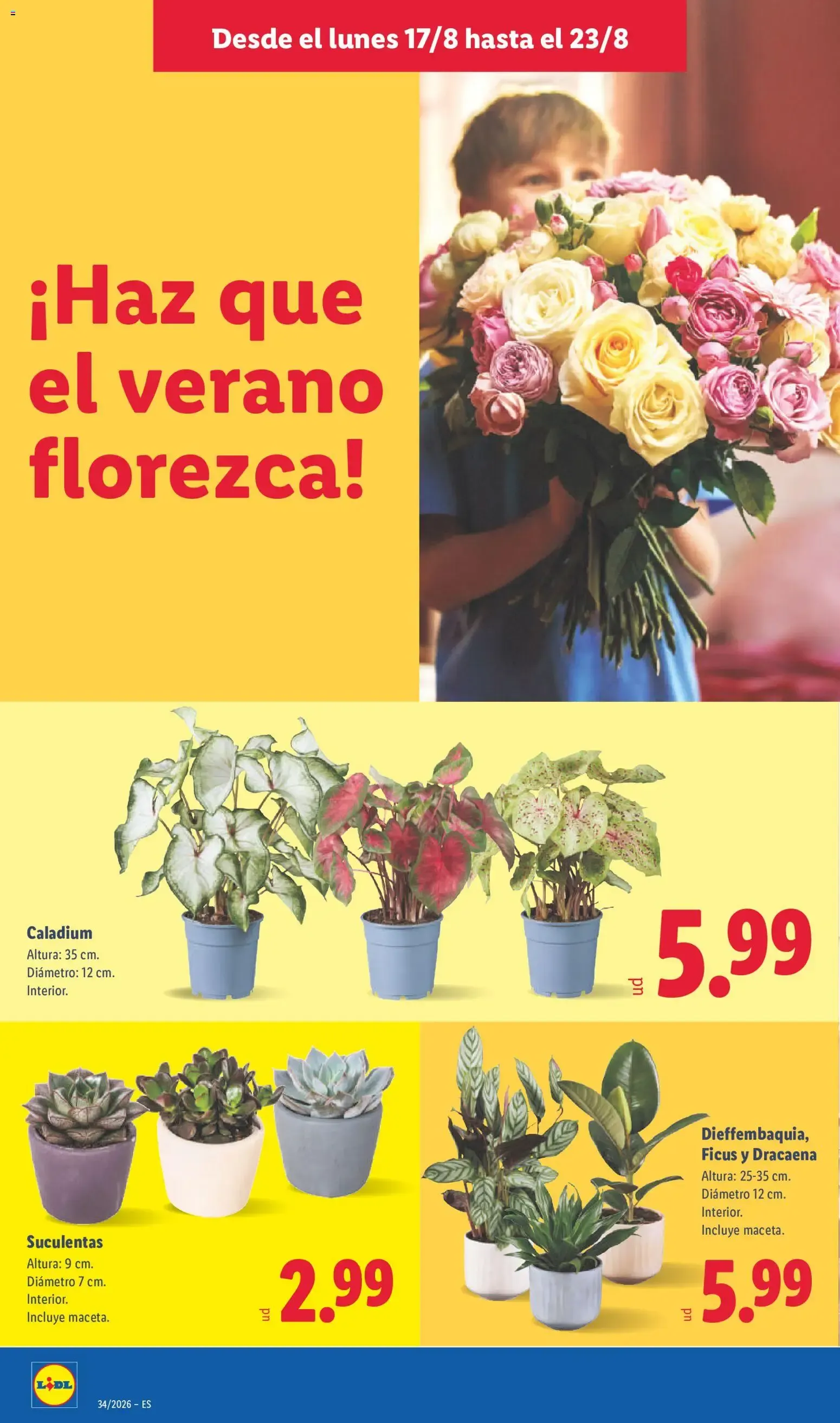 Catálogo de Lidl: Batimos el récord del ahorro 17 de agosto al 23 de agosto 2026 - Página 48