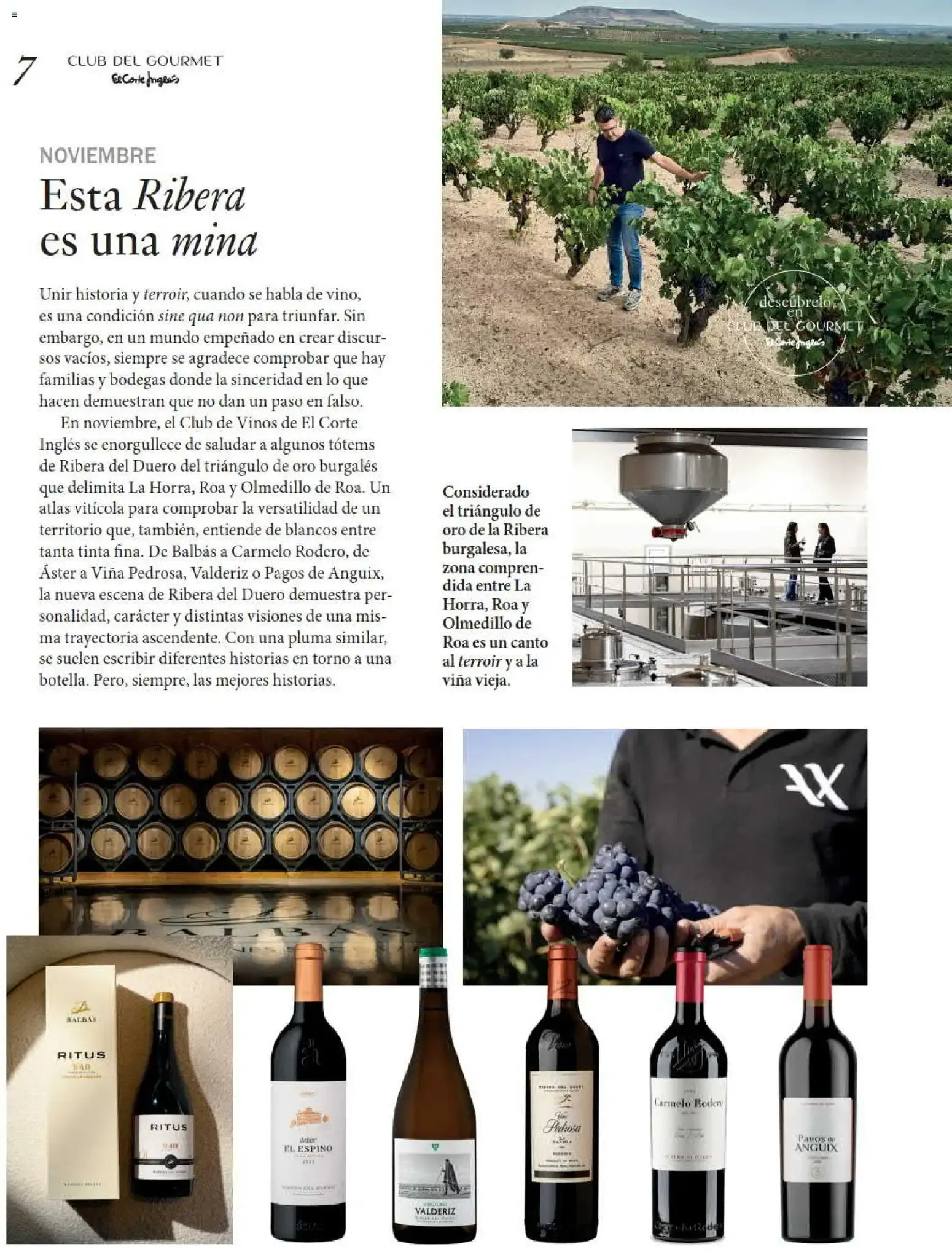 Catálogo de Gourmet Magazine: Todo al Verde 1 de octubre al 30 de noviembre 2026 - Página 7