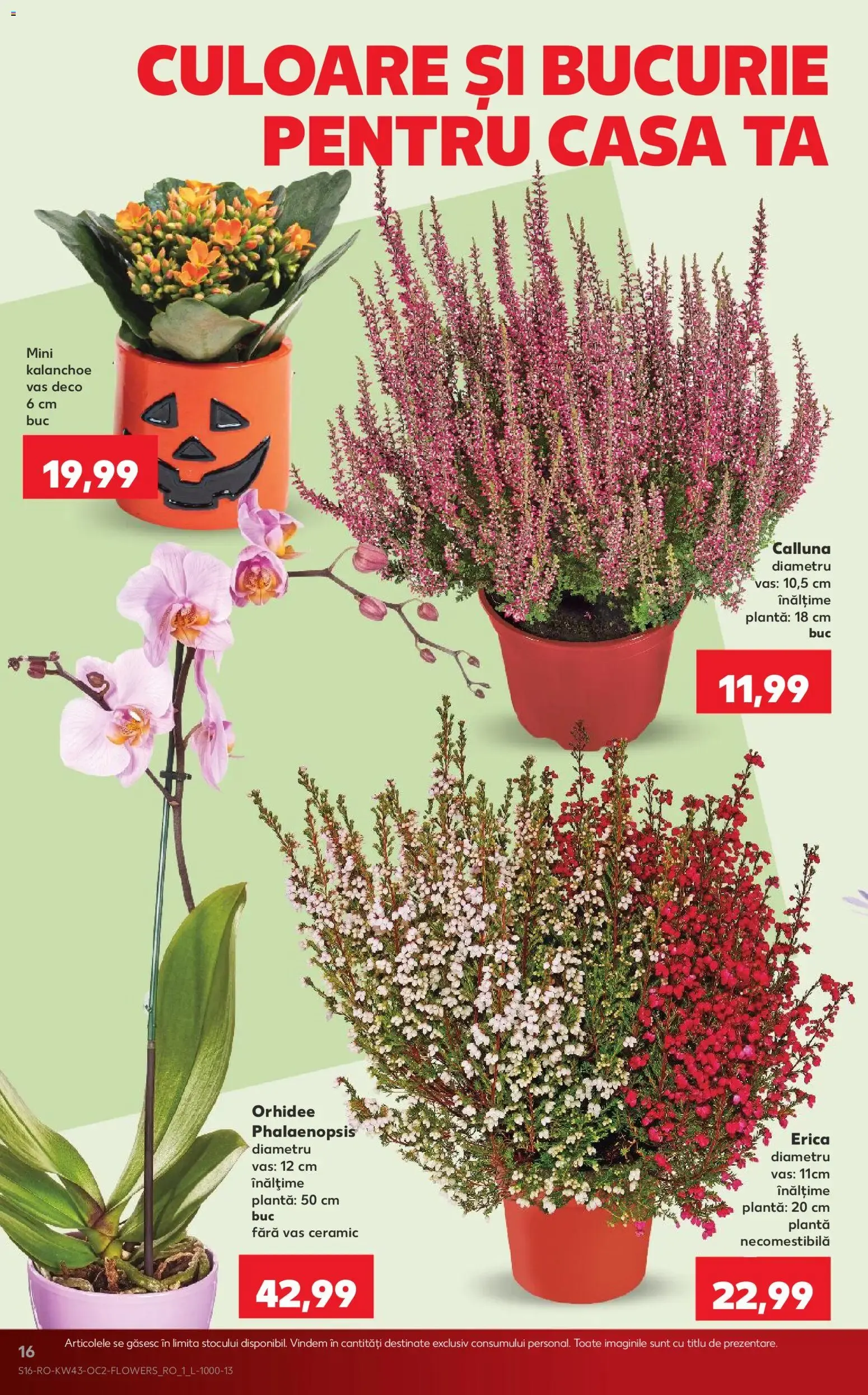 Catalog Kaufland Catalog Tematic 21.10.2026 - Revista si Oferta de la 21 octombrie până la 27 octombrie 2026 - Revista Pagina 16