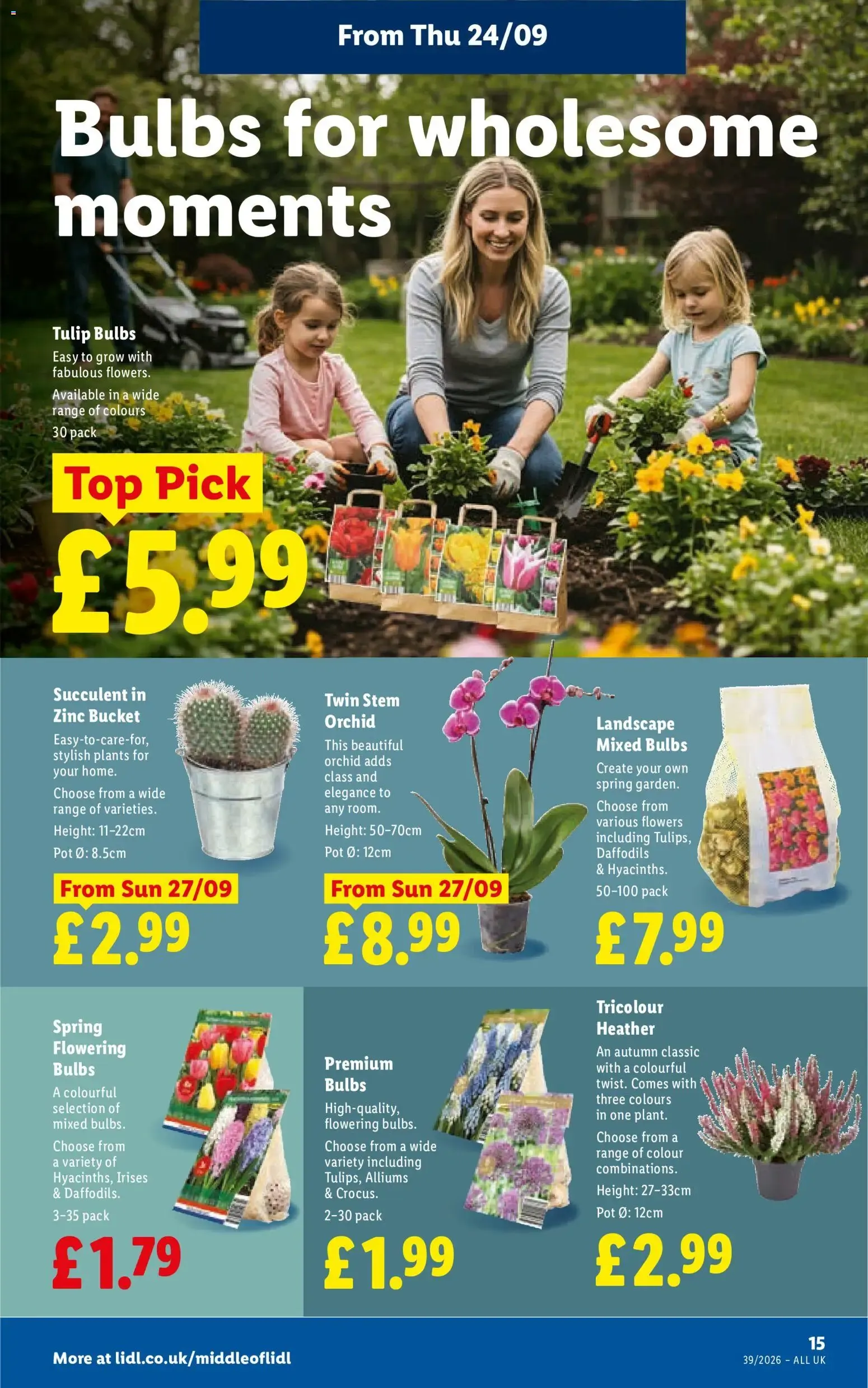 Eating like still in Iberia - Weekly offers from 24 September to 30 September 2026 - Catalogue Page 17