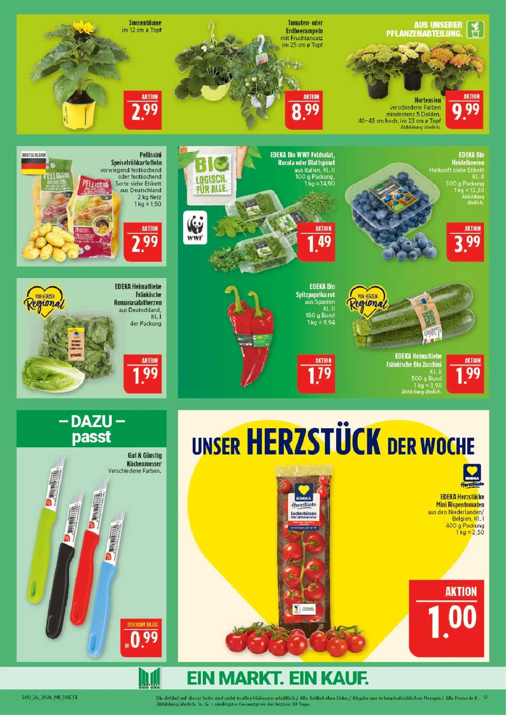 Marktkauf Prospekt – von Montag 22.06.2026 bis Samstag 27.06.2026 von 22. Juni bis 27. Juni 2026 - Prospekt seite 9