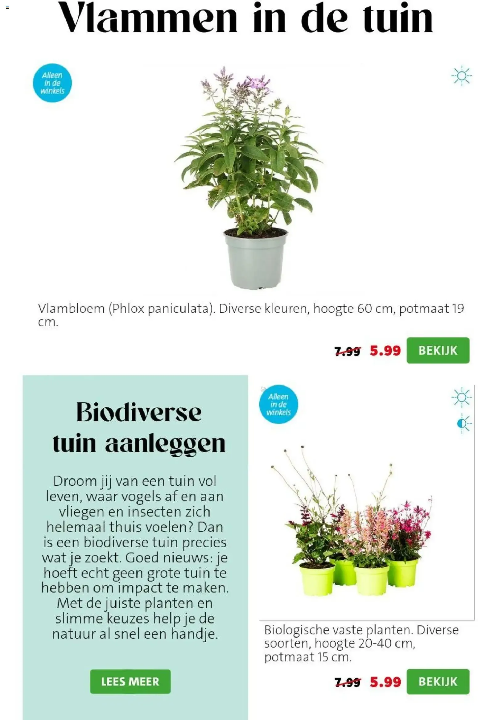 Intratuin: Sale con hasta 50% de descuento van 3 augustus tot 9 augustus 2026 - Folder pagina 2