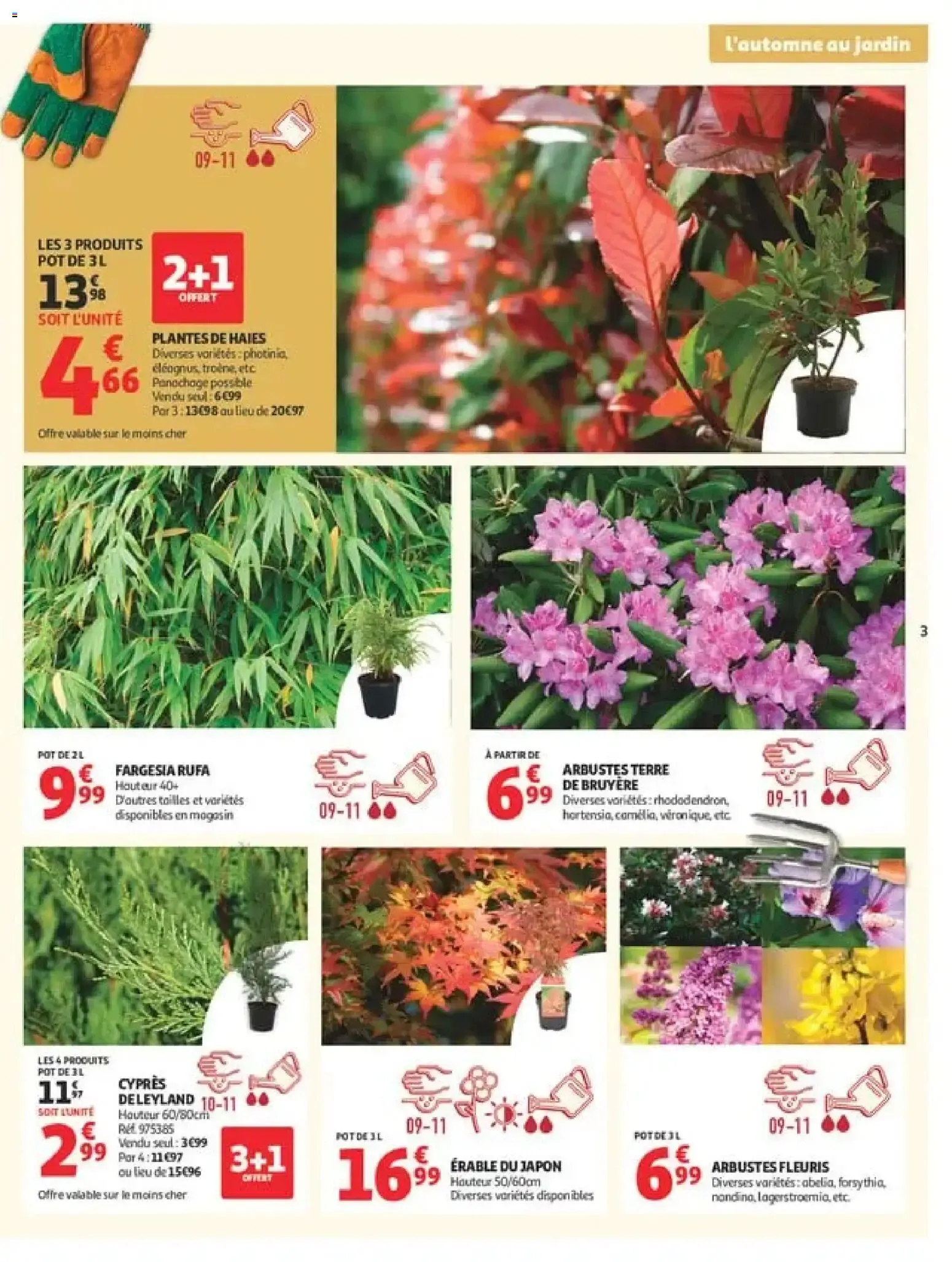 L'AUTOMNE AU JARDIN du 22 septembre au 11 octobre 2026 - Catalogue page 3