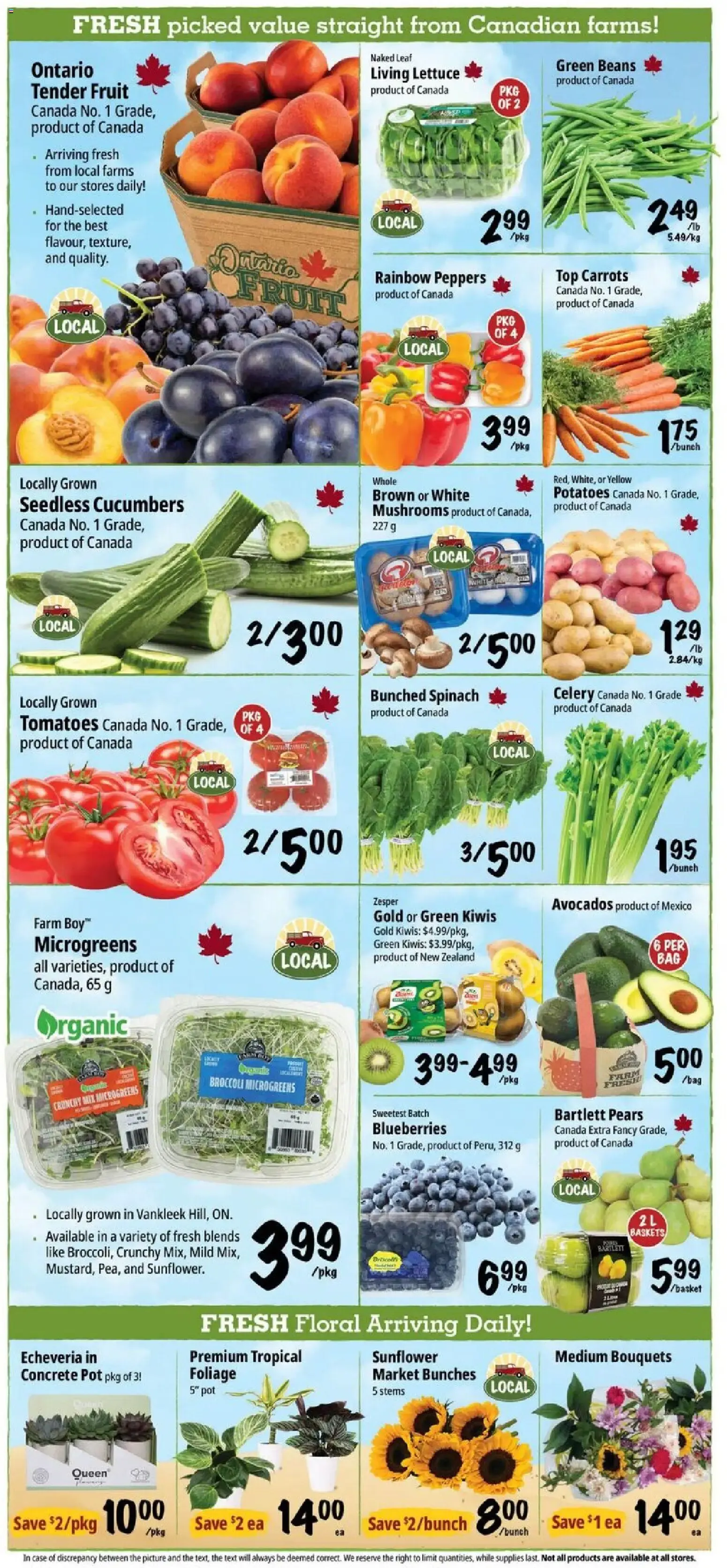 The Last Taste of Summer! from September 3 to September 9 2026 - flyer page 4