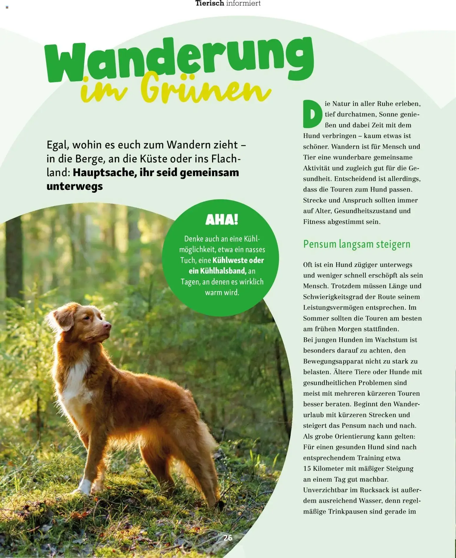 FRESSNAPF Friends - Europas größtes Haustier-Magazin von 1. Juli bis 31. August 2026 - Prospekt seite 26