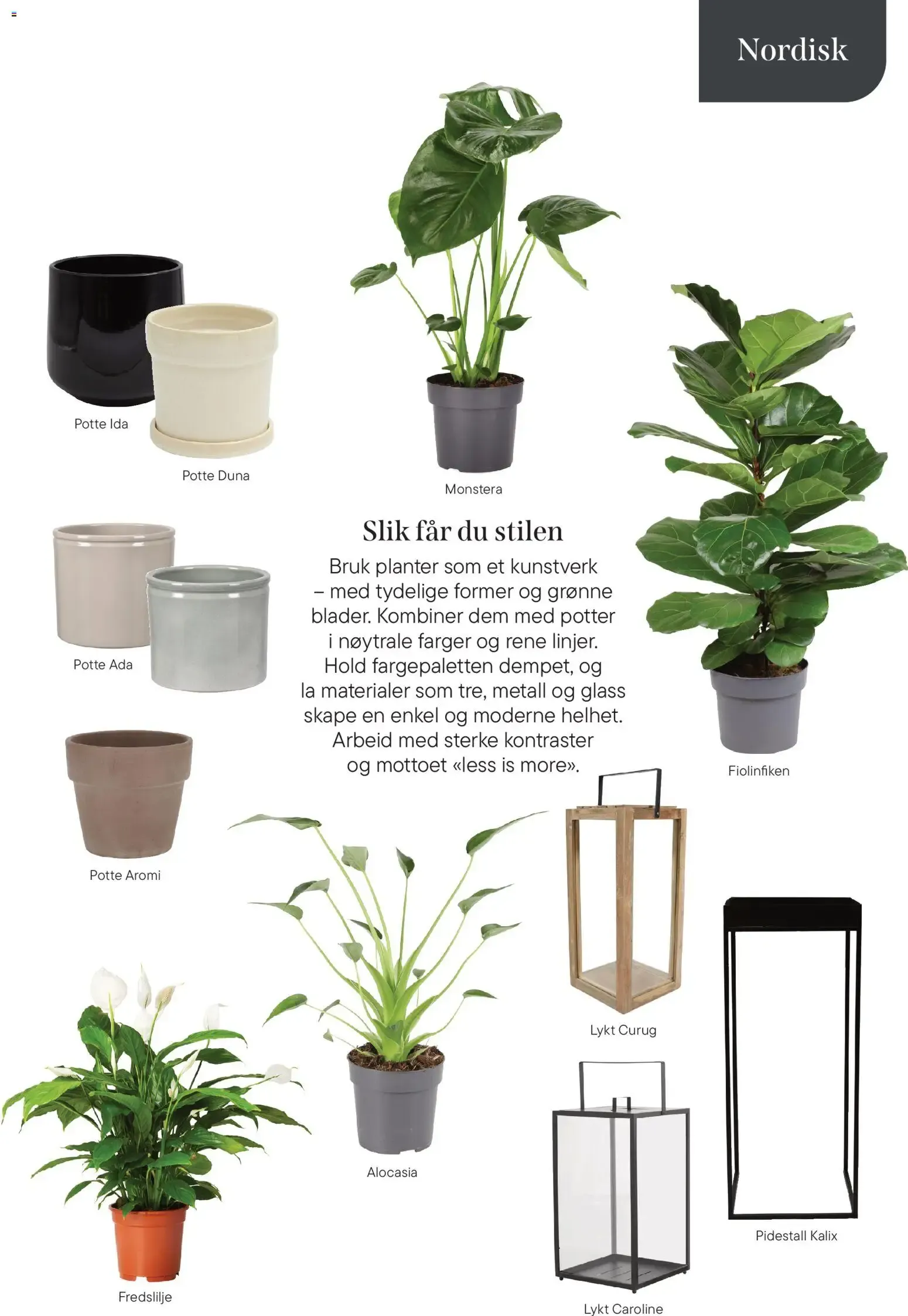 Et hjem med levende rom - En inspirasjonsguide fra Plantasjen fra 8. januar til 17. juni 2026 - kundeavisside 13