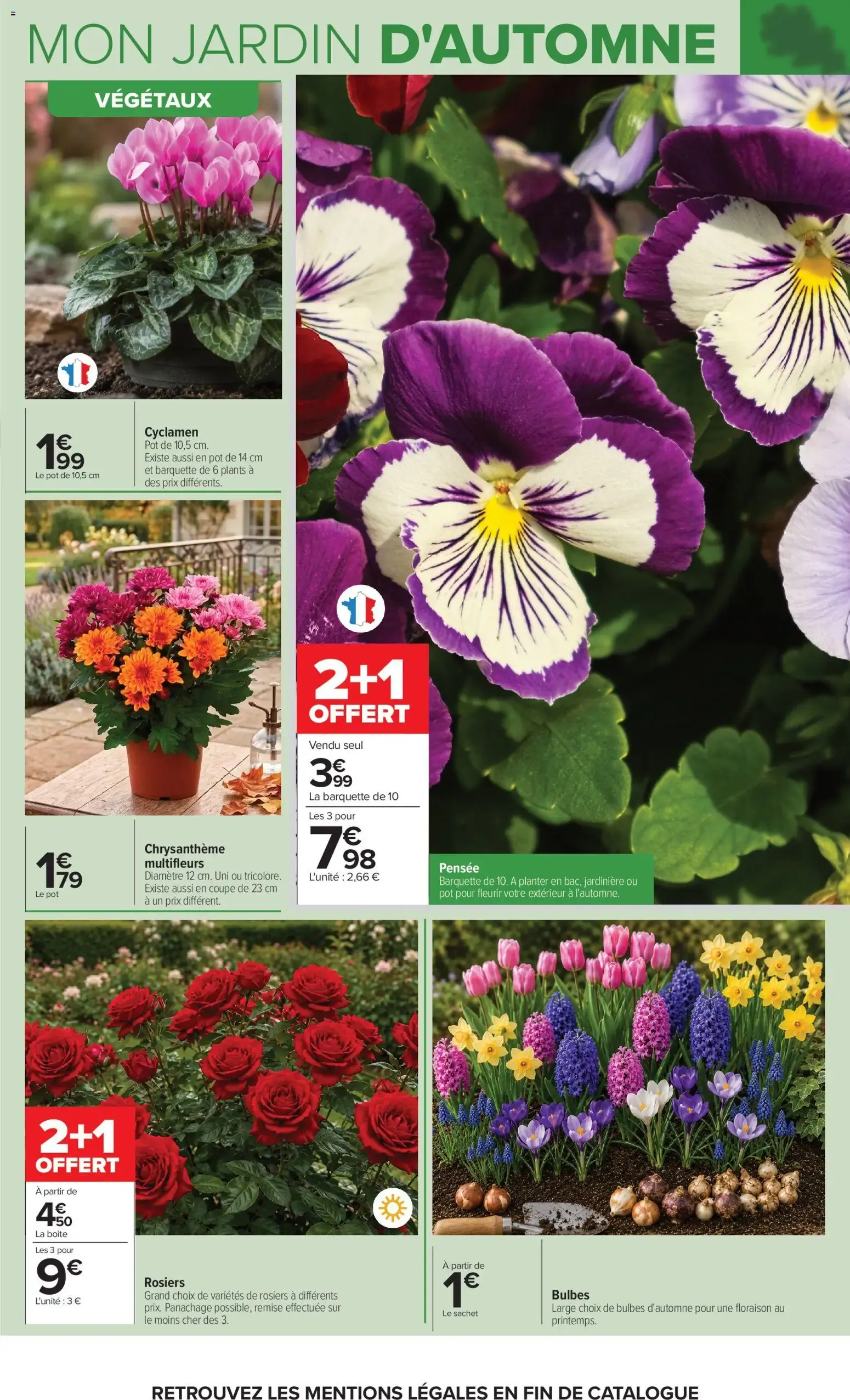 Carrefour Jardin et bricolage à partir du 29/09/2026 - promo en ligne du 29 septembre au 12 octobre 2026 - Catalogue page 3