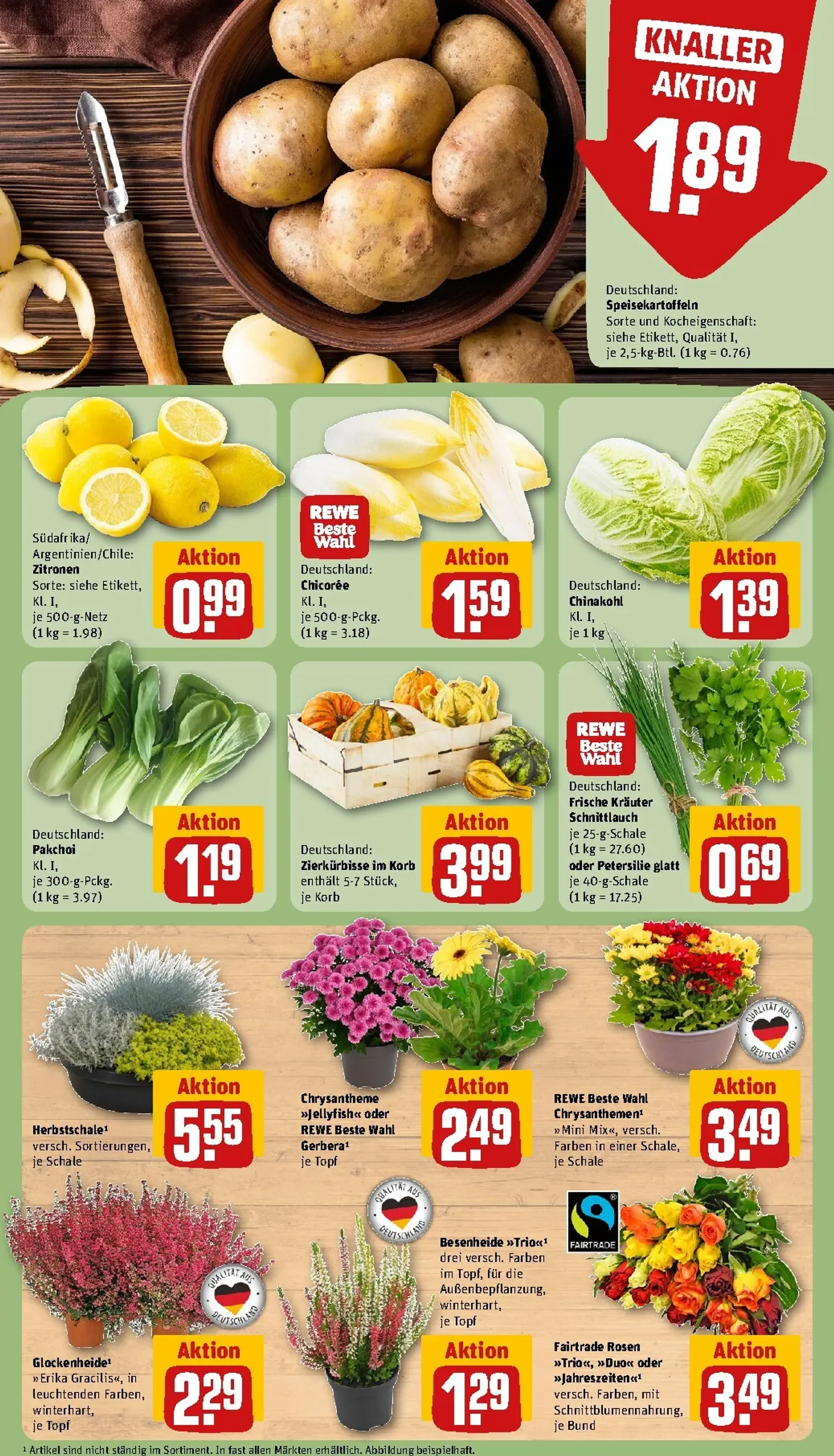 Die REWE Jubelwochen Mega Angebote, mega sparen! von 21. September bis 27. September 2026 - Prospekt seite 13