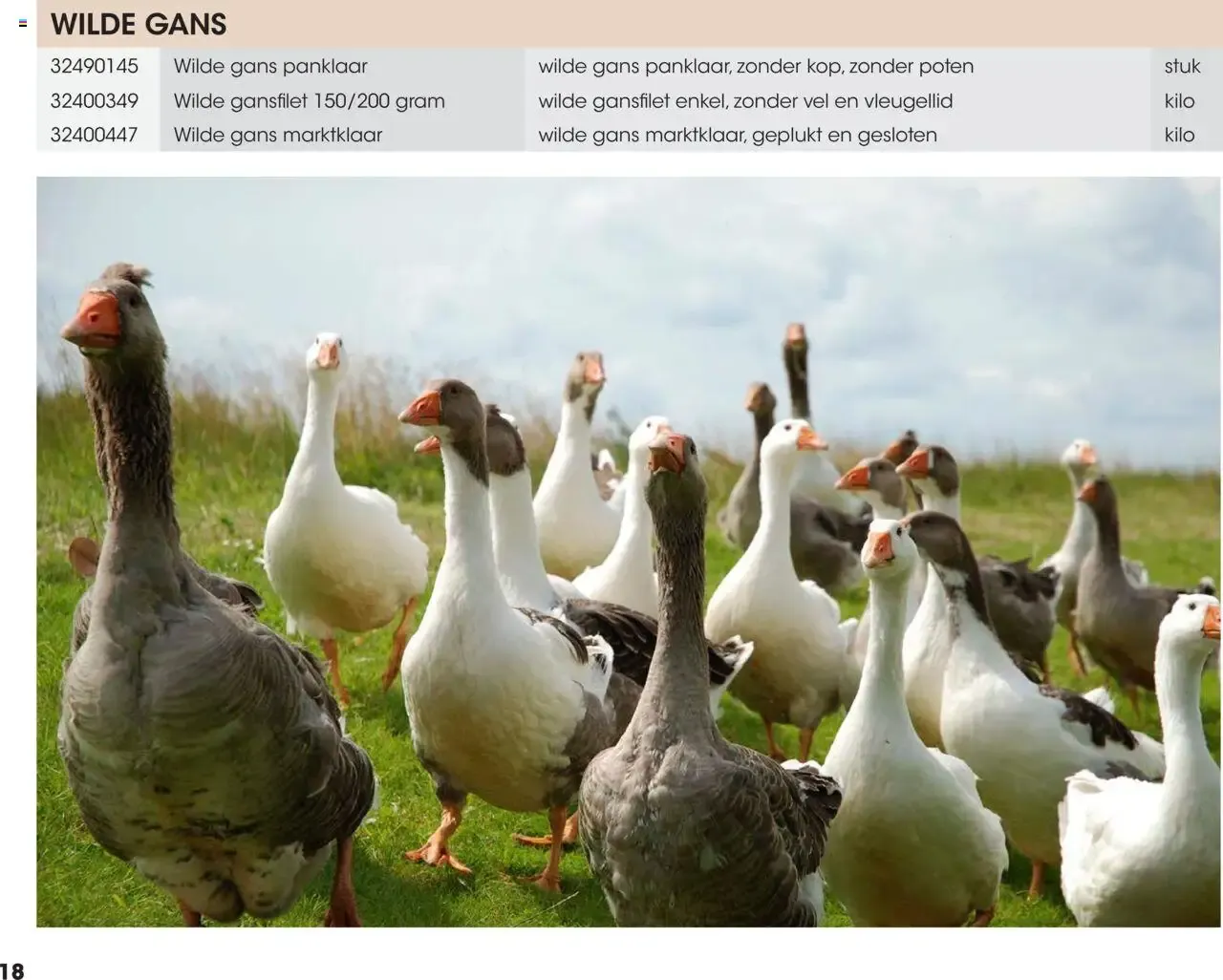 HANOS WILD VAN HET NAJAAR van 5 oktober tot 12 september 2026 - Folder pagina 18