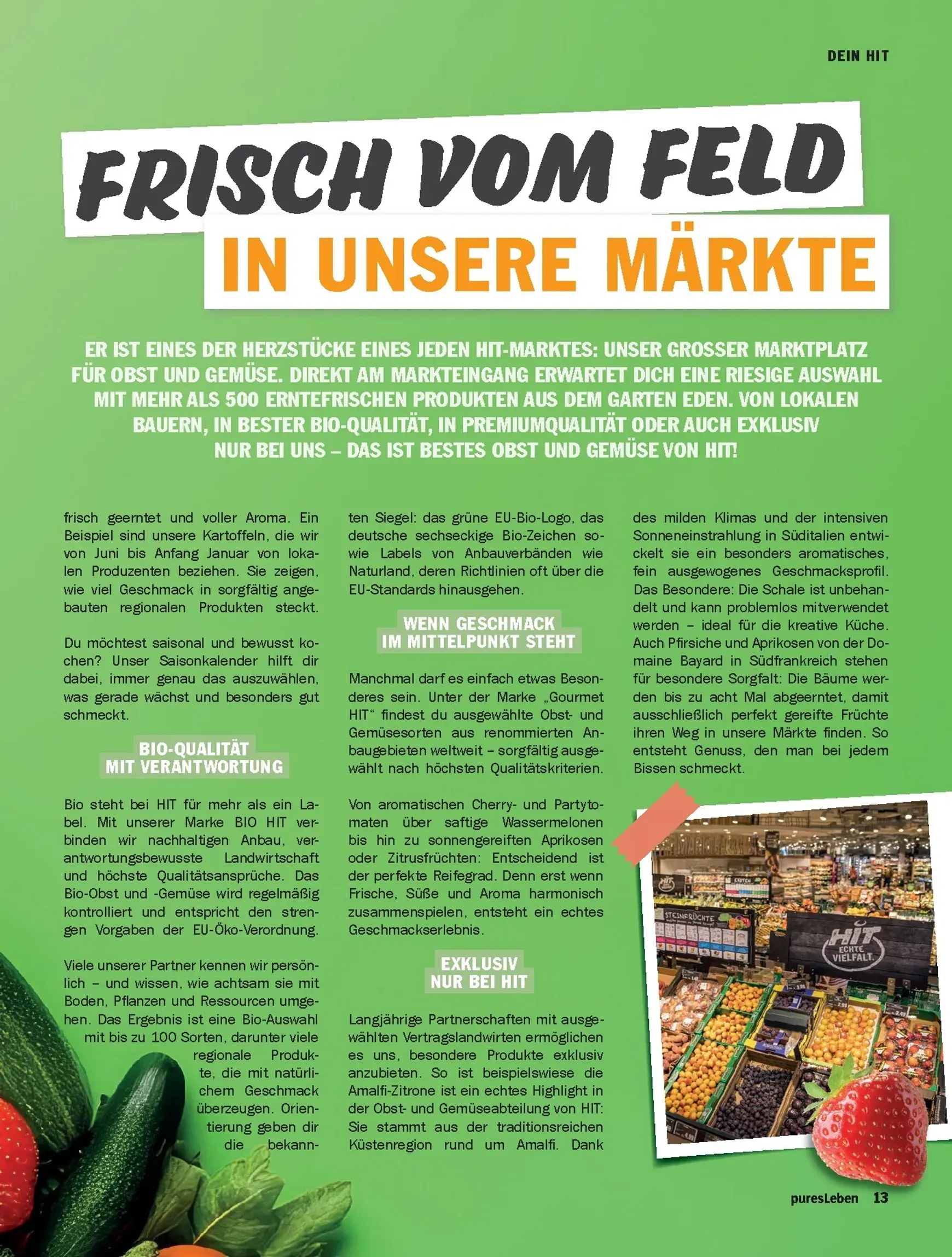 Pures Leben Magazine 02/2026 von 1. April bis 30. Juni 2026 - Prospekt seite 13
