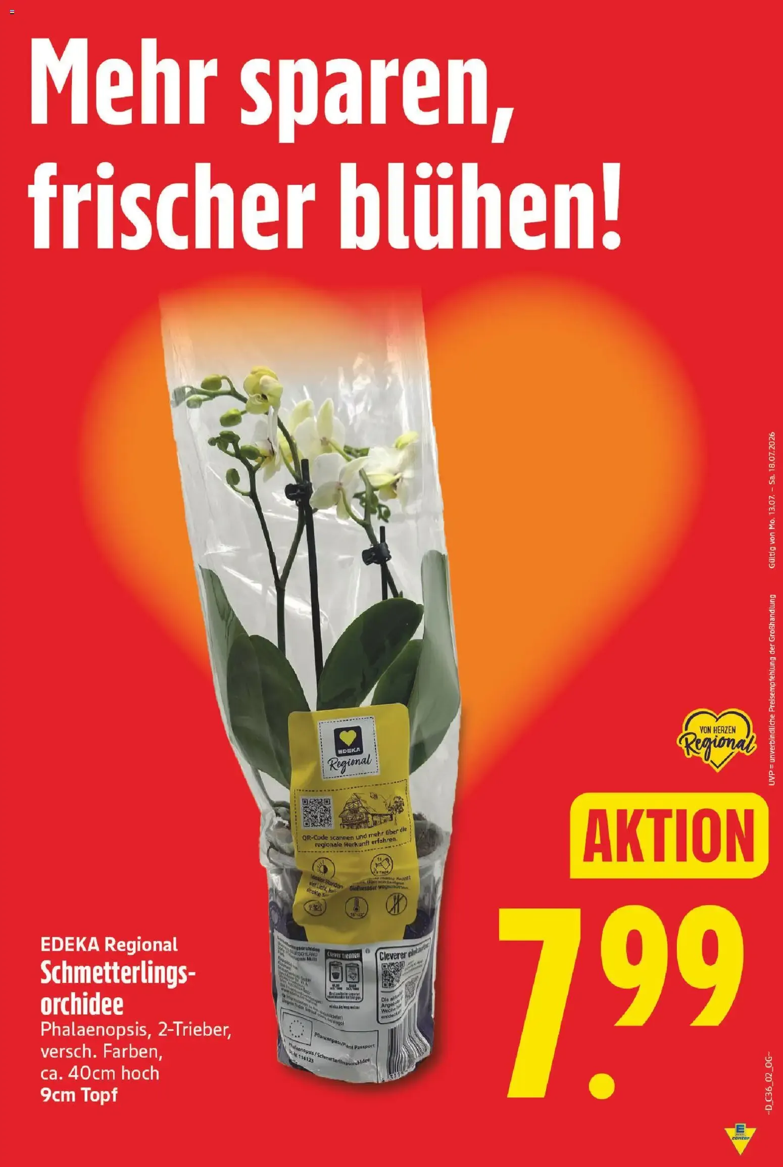 E center Prospekt (ab 31.08.2026) zum Blättern von 31. August bis 5. September 2026 - Prospekt seite 5