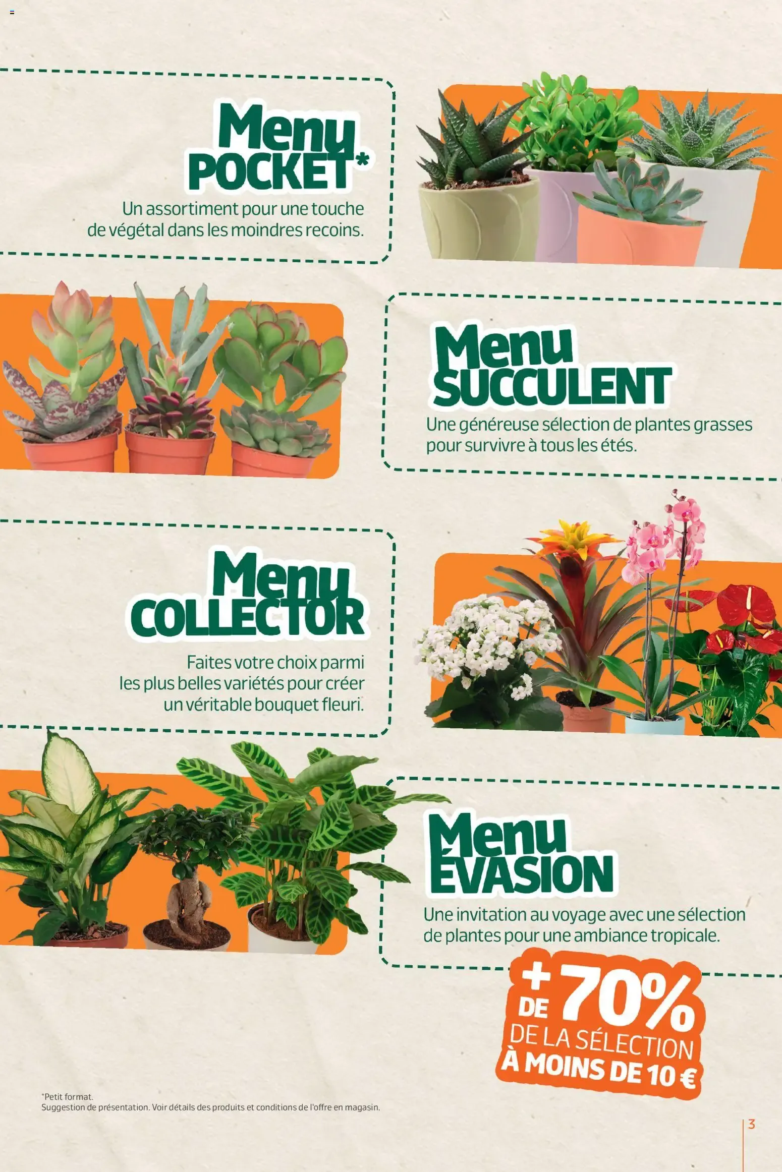 Jardiland - Cultivez votre bien-être du 26 août au 6 septembre 2026 - Catalogue page 3