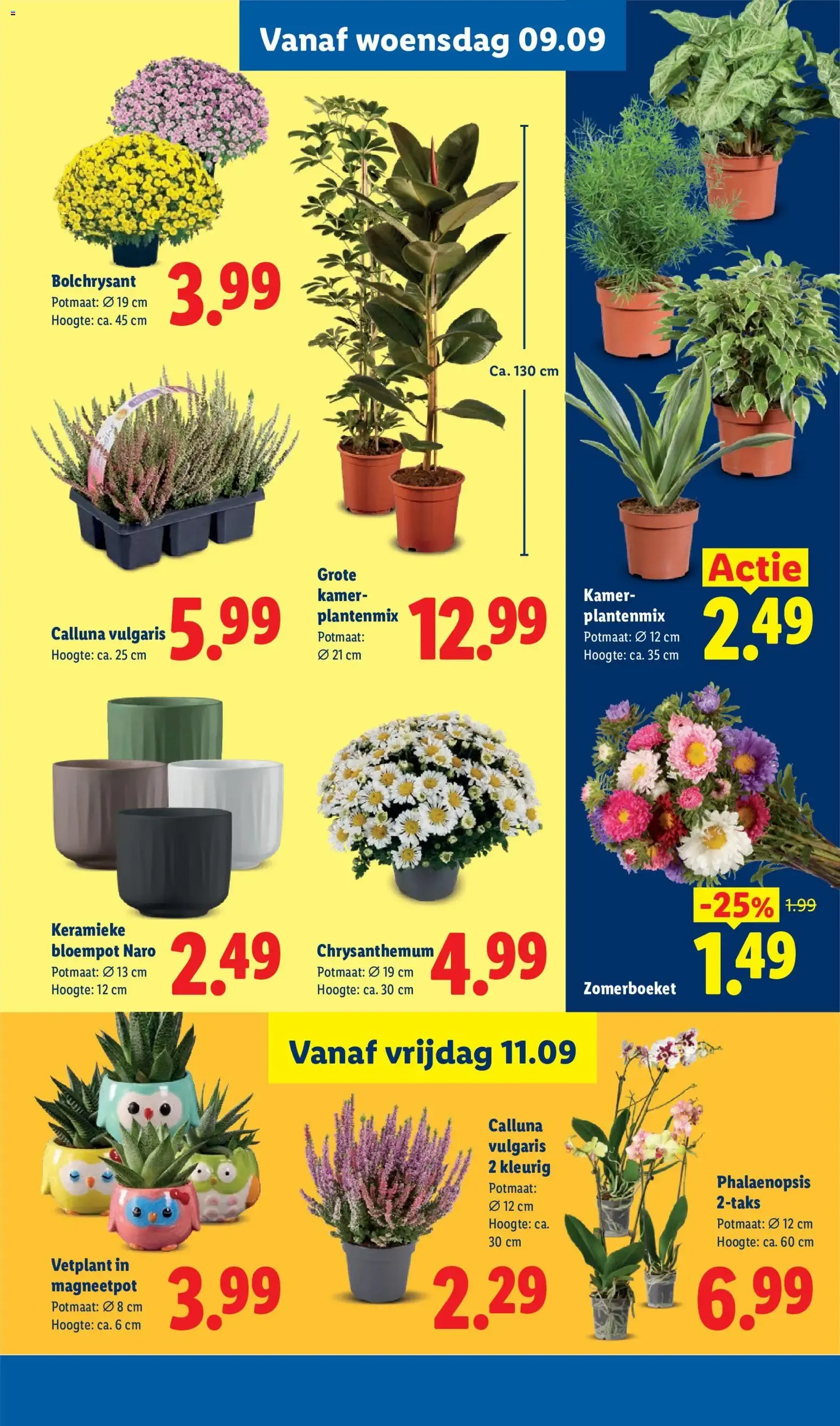 Lidl Acties van 7 september tot 13 september 2026 - Folder pagina 36