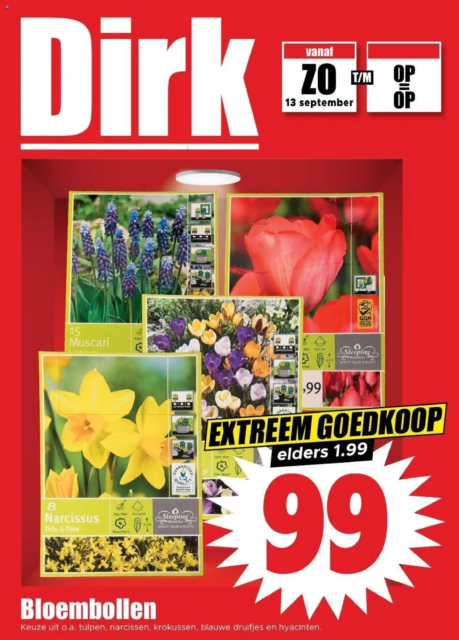 Dirk Centen Sensatie van 16 september tot 20 september 2026 - Folder pagina 30