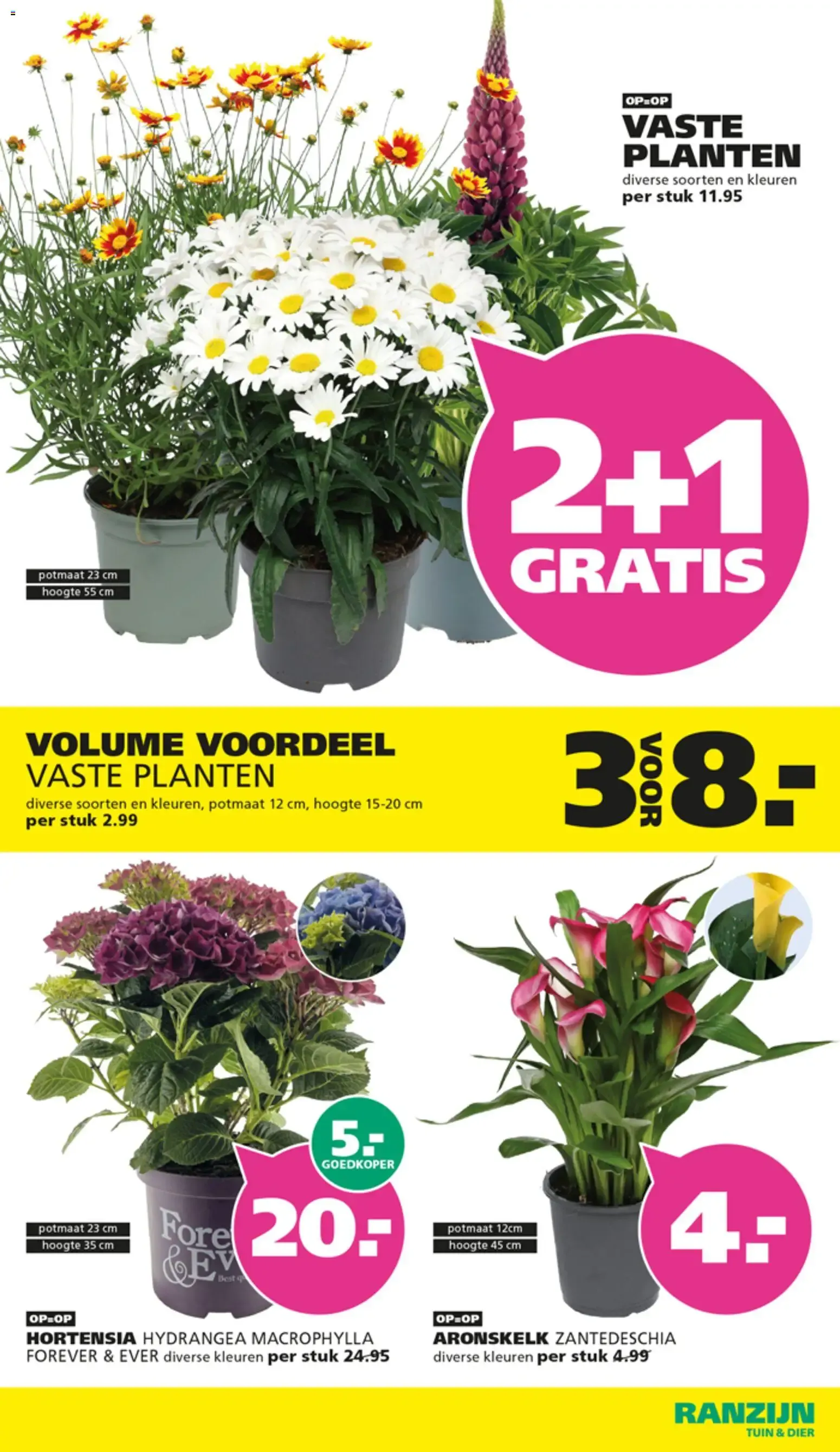 VADERDAG TOPPER! van 14 juni tot 27 juni 2026 - Folder pagina 2