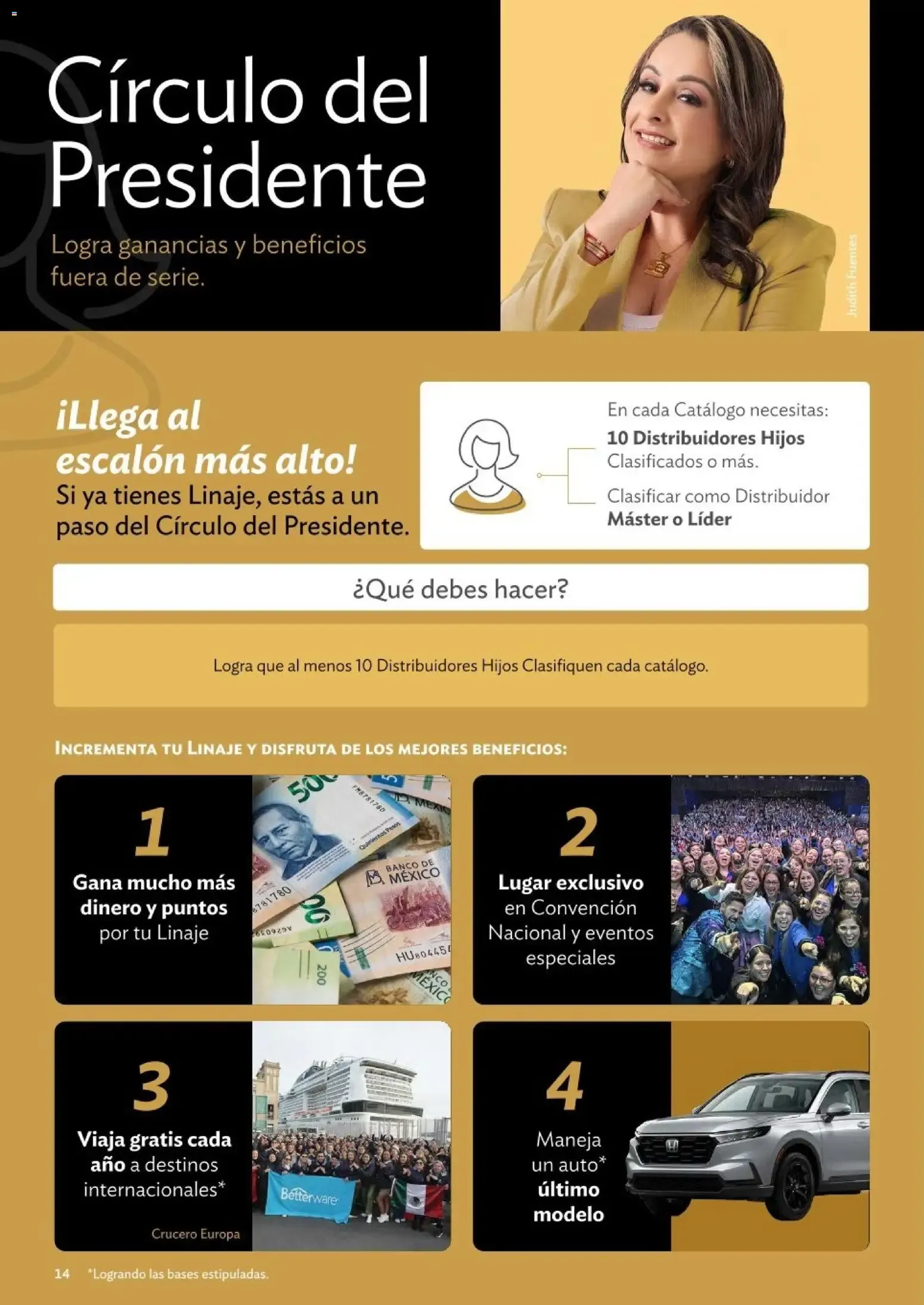 Catálogo de Betterware Programas de Oportunidades para Asociados y Distribuidores 1 de enero al 31 de agosto 2026 - Pagina 14