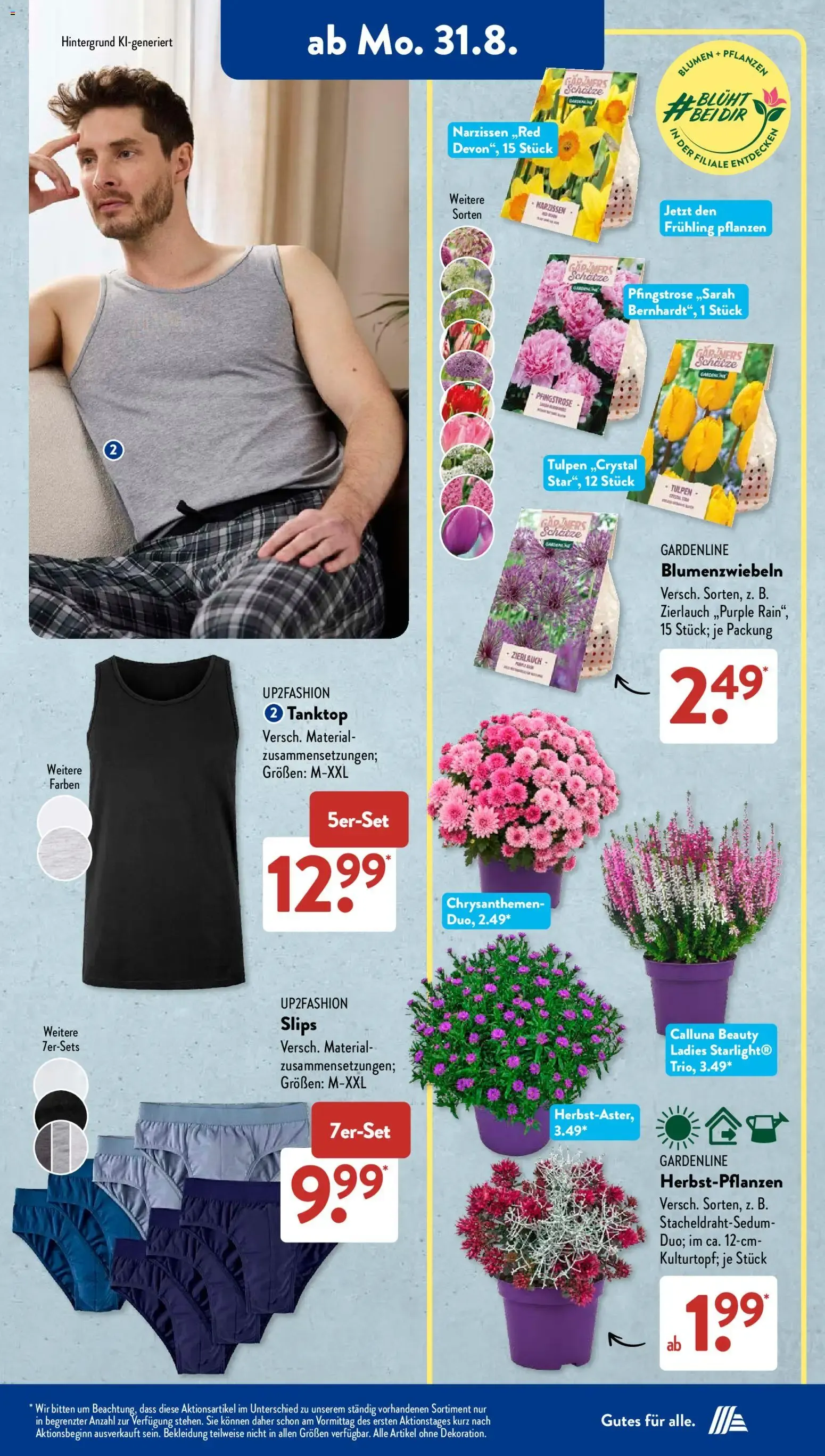 ALDI SÜD Tiefpreis-Highlight Prospekt von 31. August bis 5. September 2026 - Prospekt seite 6