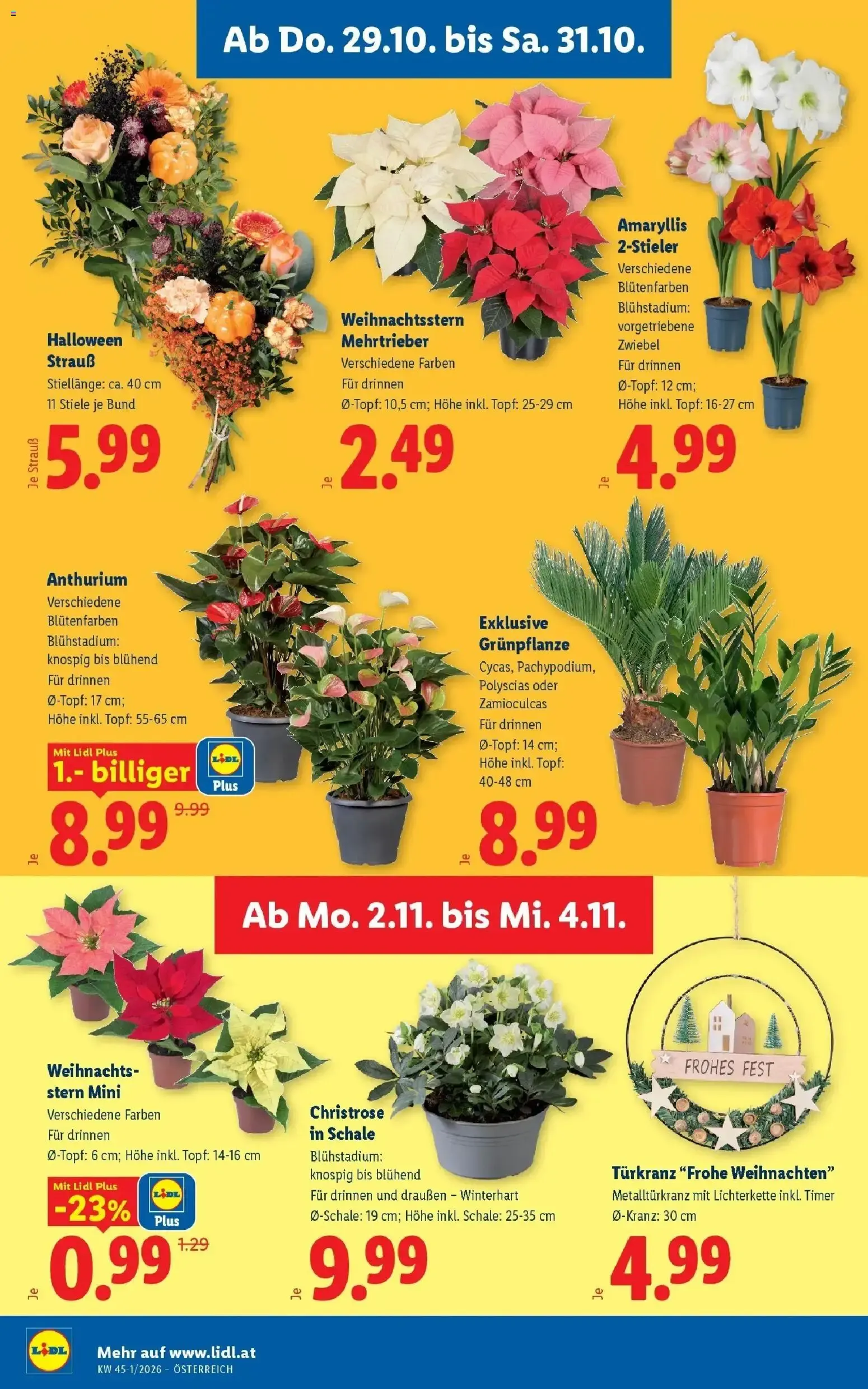 Lidl Flugblatt - Wien ab 25.10.2026 - Angebote ab donnerstag von 29. Oktober bis 31. Oktober 2026 - Flugblätt seite 28