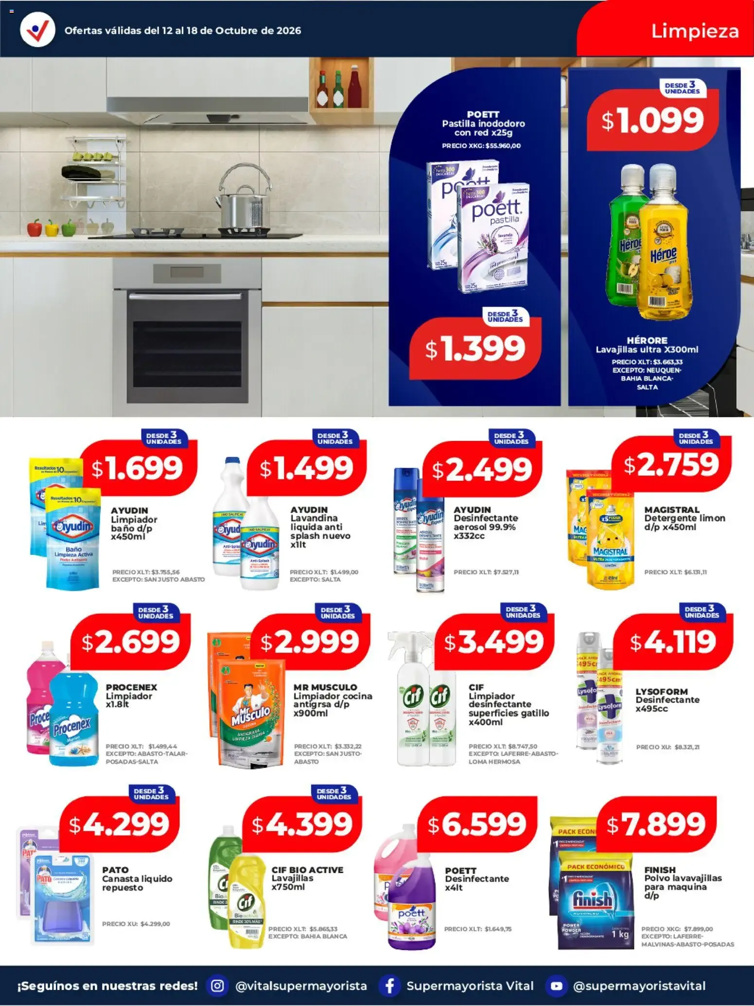 Ofertas de VITAL SUPERMAYORISTA EL MAYORISTA DE TU AHORRO 12 de octubre al 18 de octubre 2026 - Página 9 del catálogo