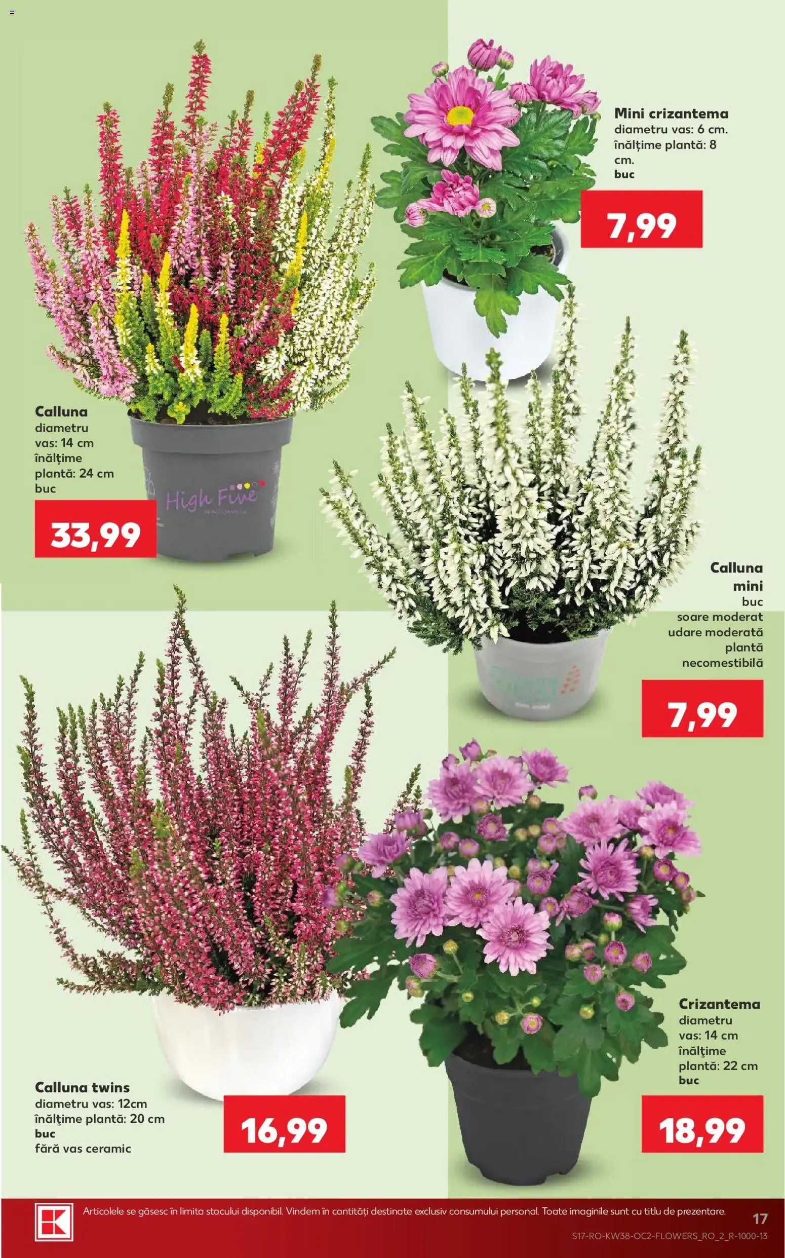 Catalog Kaufland Catalog 16.09.2026 - Revista si Oferta de la 16 septembrie până la 22 septembrie 2026 - Revista Pagina 17