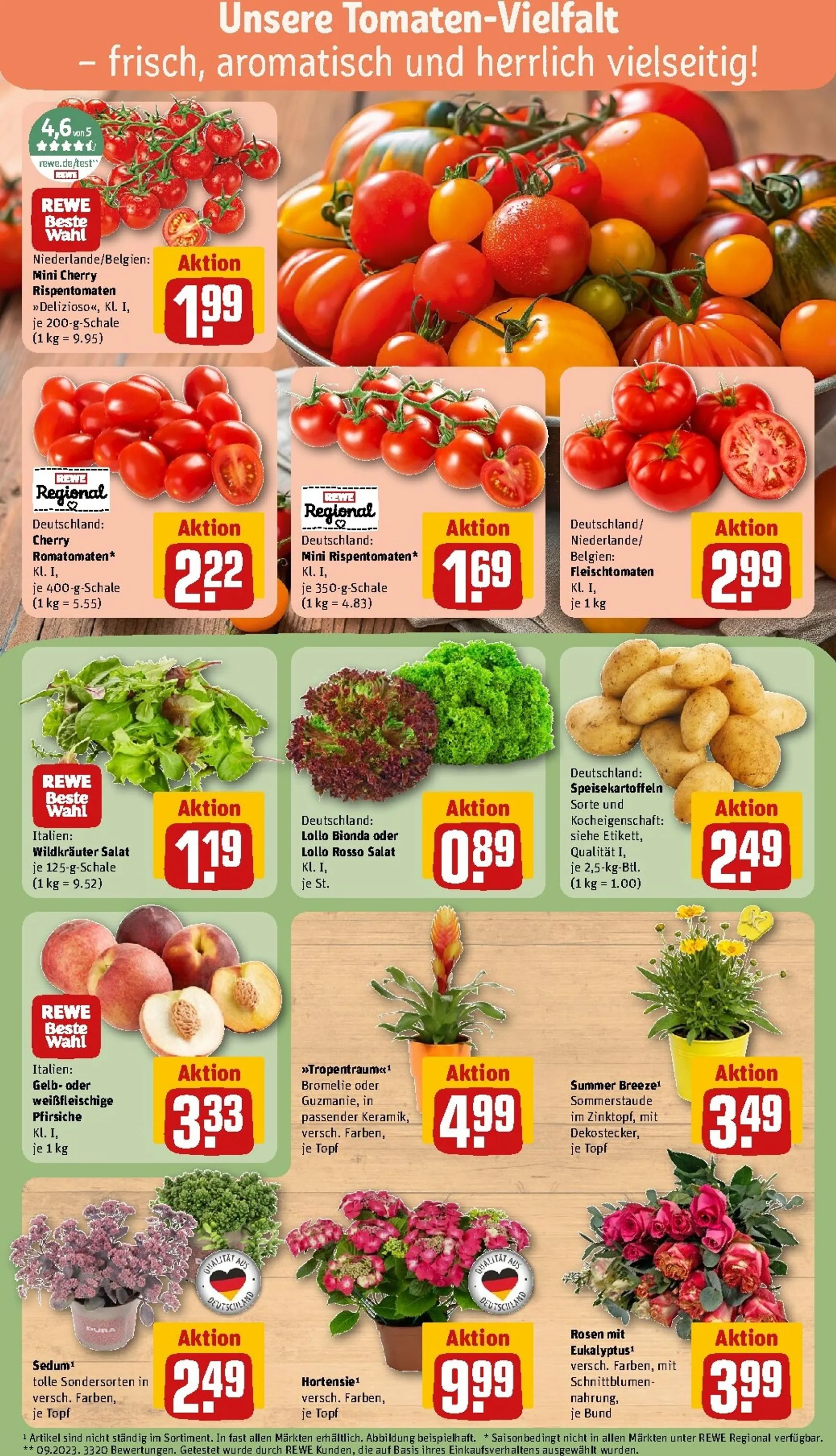 Rewe Prospekt nächste Woche – von Montag 13.07.2026 bis Sonntag 19.07.2026 von 13. Juli bis 19. Juli 2026 - Prospekt seite 7