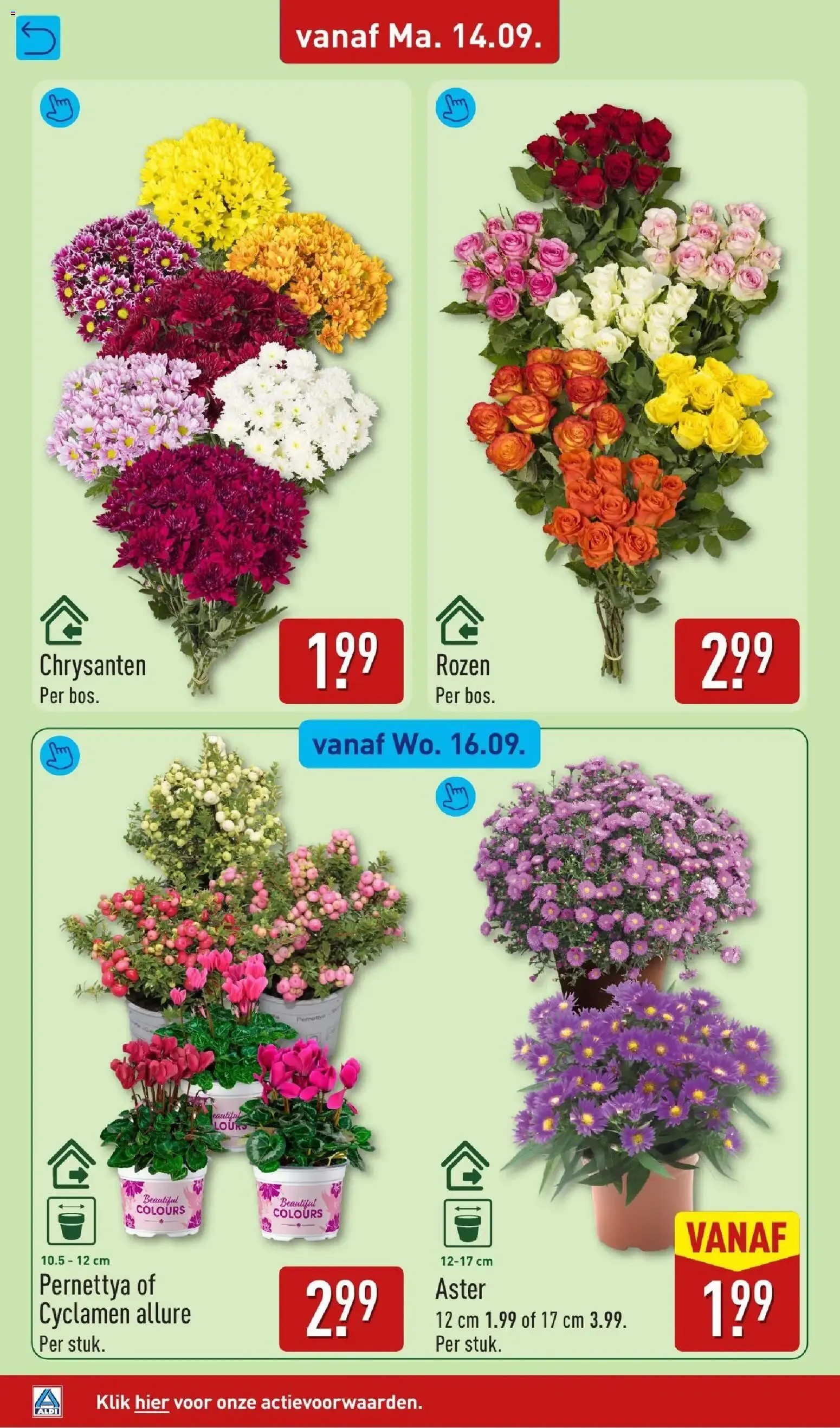 Aldi folder vanaf 14-09-2026 (volgende, deze week) van 14 september tot 20 september 2026 - Folder pagina 32