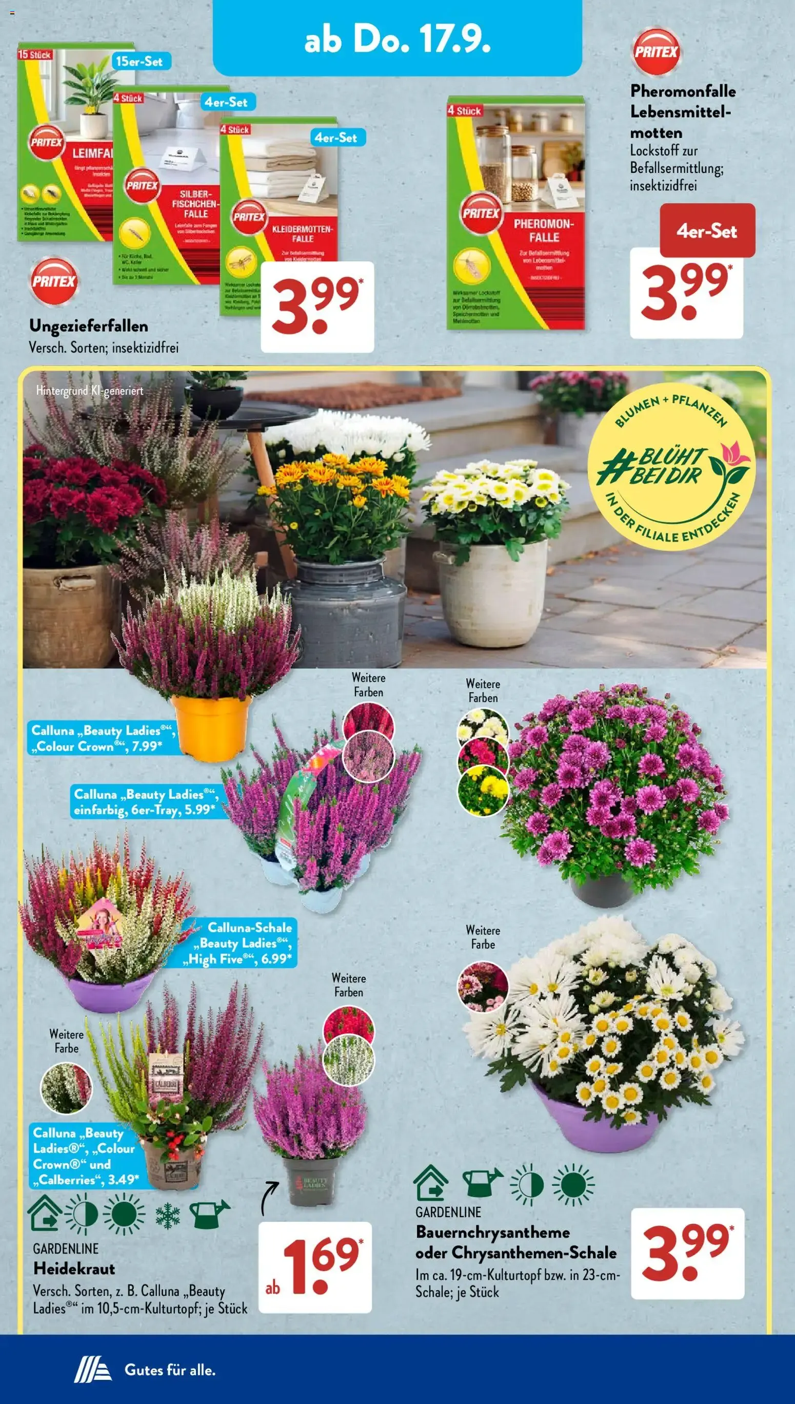 Aldi Süd Tiefpreis-Highlight von 14. September bis 19. September 2026 - Prospekt seite 12