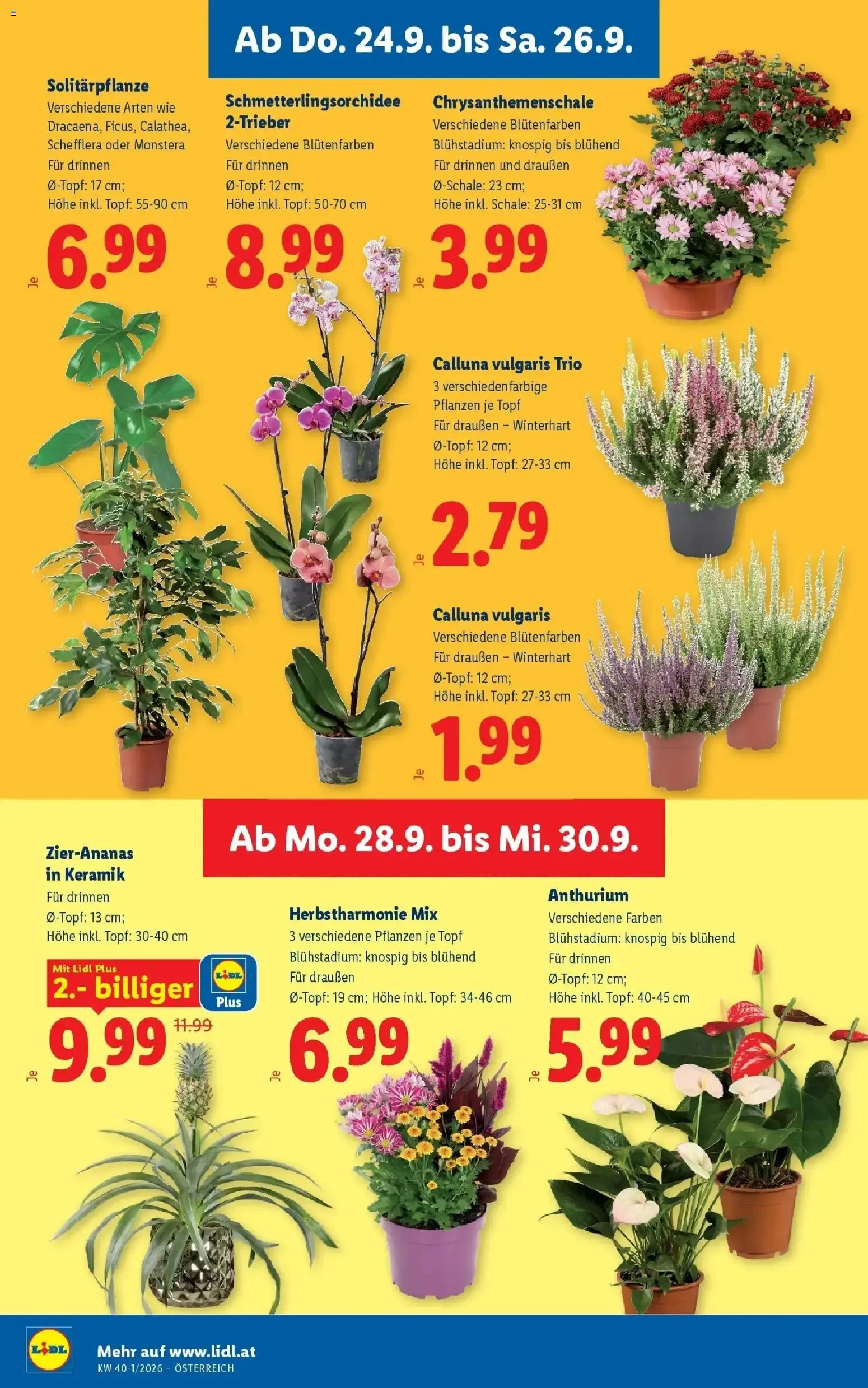 Lidl Flugblatt - Wien ab 24.09.2026 - Angebote ab donnerstag von 24. September bis 26. September 2026 - Flugblätt seite 28