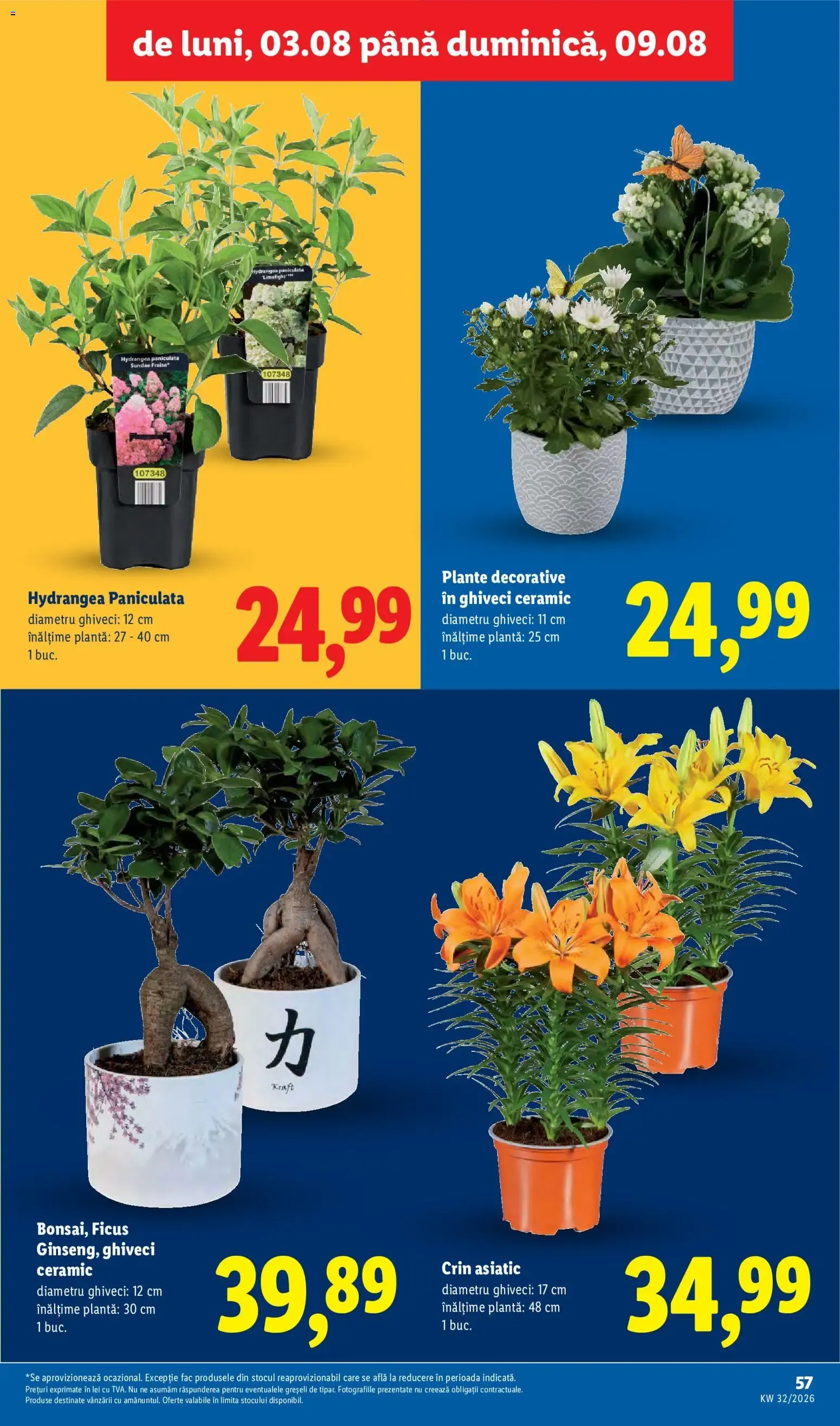 Catalog Catalog LIDL 03.08.2026 - Oferta și Revista online de la 3 august până la 9 august 2026 - Revista Pagina 57