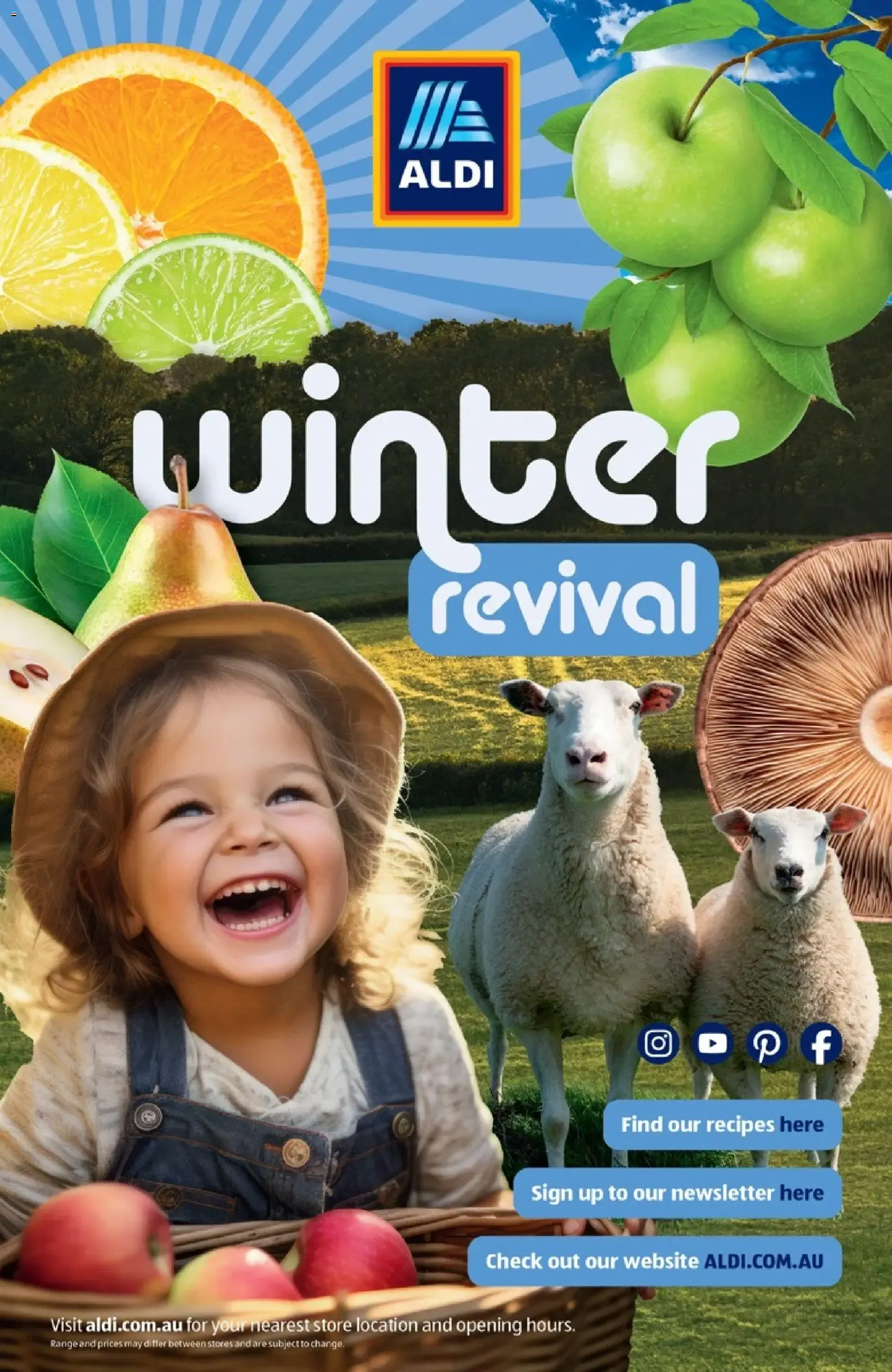 ALDI Winter Revival - Catalogue valid from 1 July to 31 August 2026 - page 10