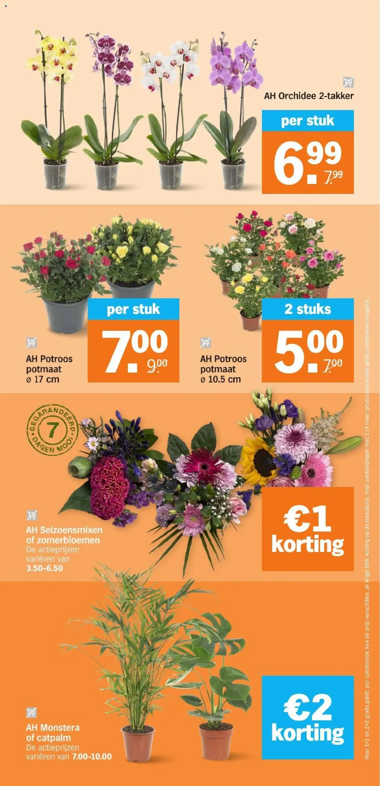 AH BONUS van 31 augustus tot 6 september 2026 - Folder pagina 36