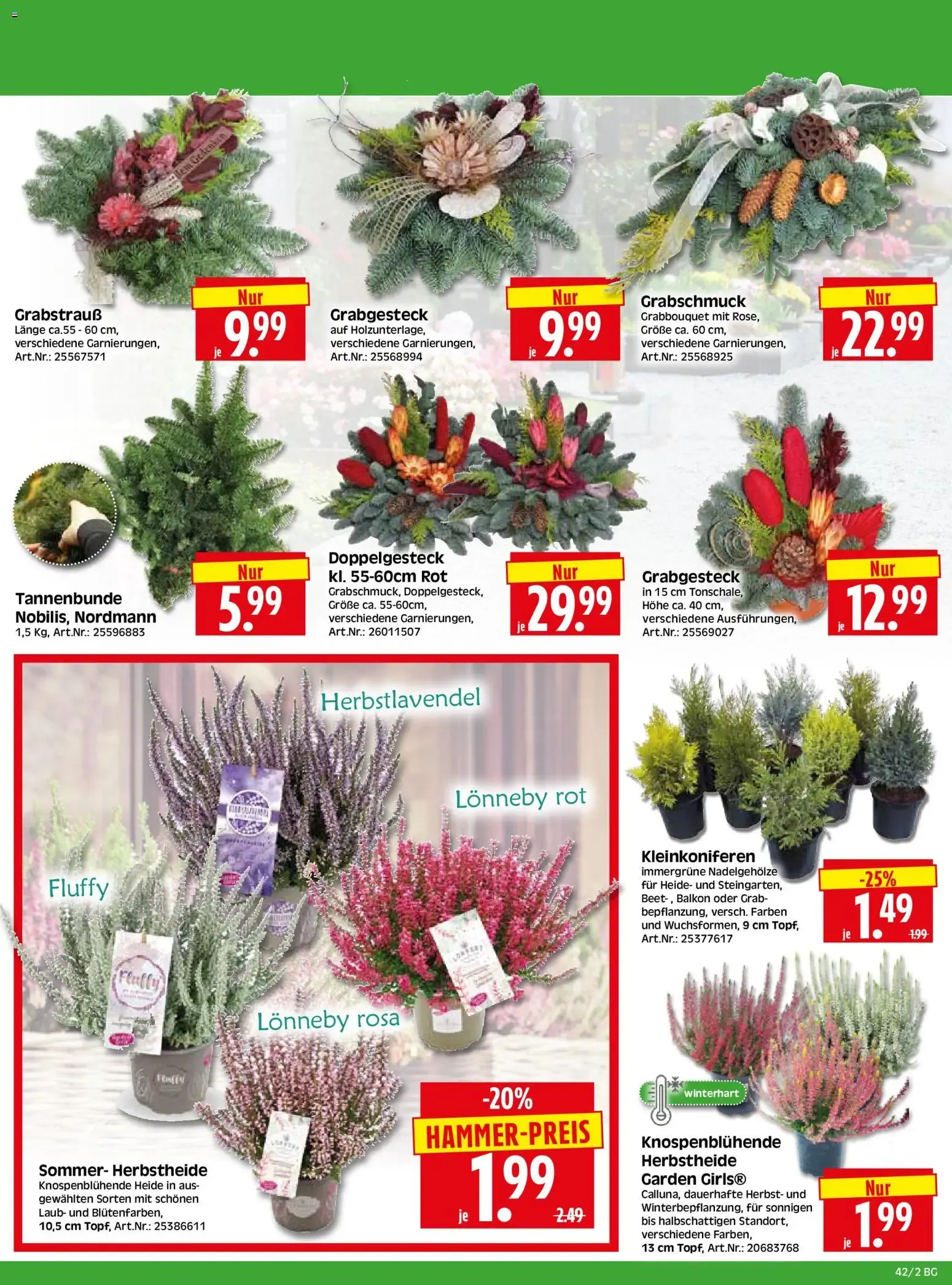 HERKULES Bau & Garten (ab 12.10.2026) zum Blättern von 12. Oktober bis 17. Oktober 2026 - Prospekt seite 2