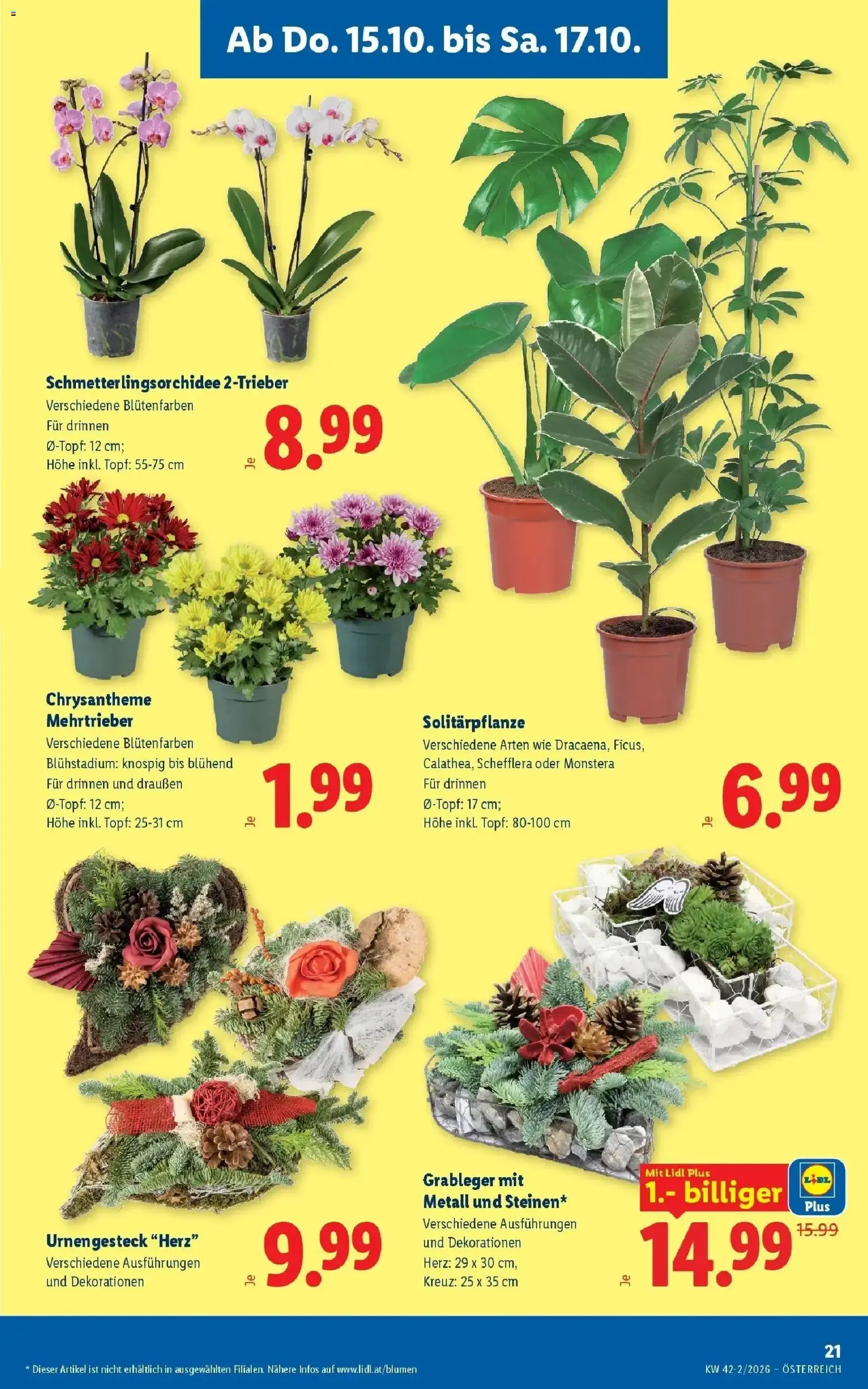 Lidl Aktion von 15. Oktober bis 17. Oktober 2026 - Flugblätt seite 25