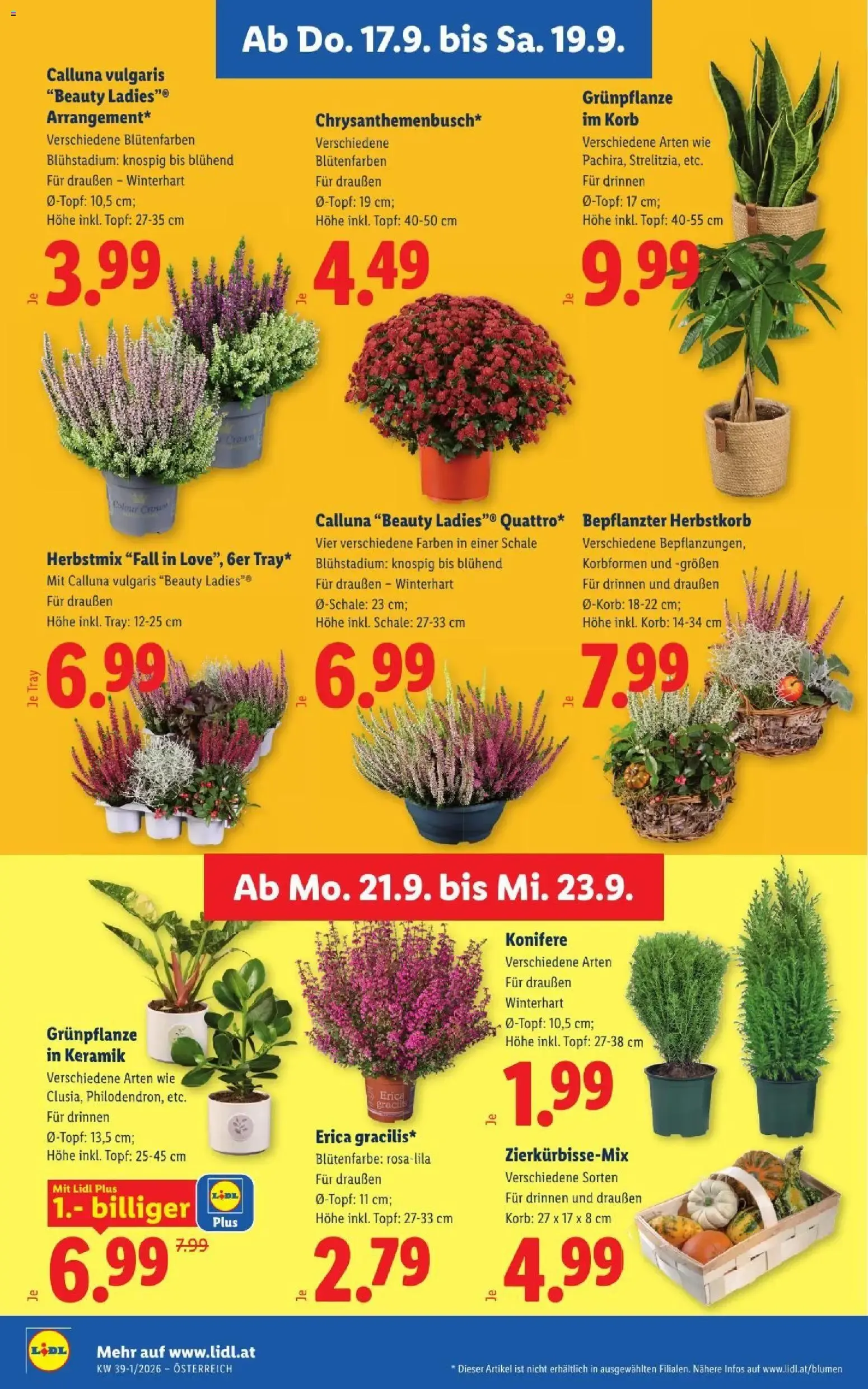 Lidl - Flugblatt ab 17.09.2026 - Angebote ab donnerstag von 17. September bis 19. September 2026 - Flugblätt seite 28