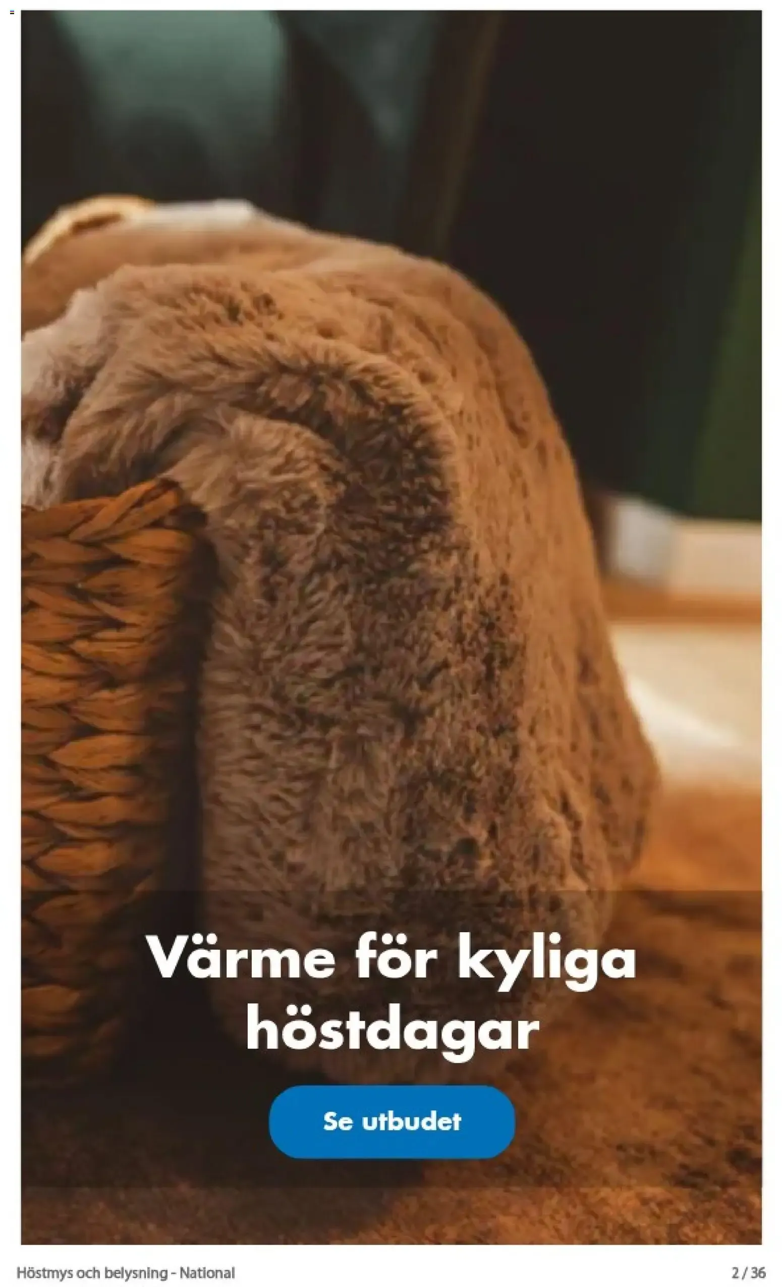 Gör det mysigt i höstmörkret! från 1 september till 30 september 2026 - Reklamblad sidor 2